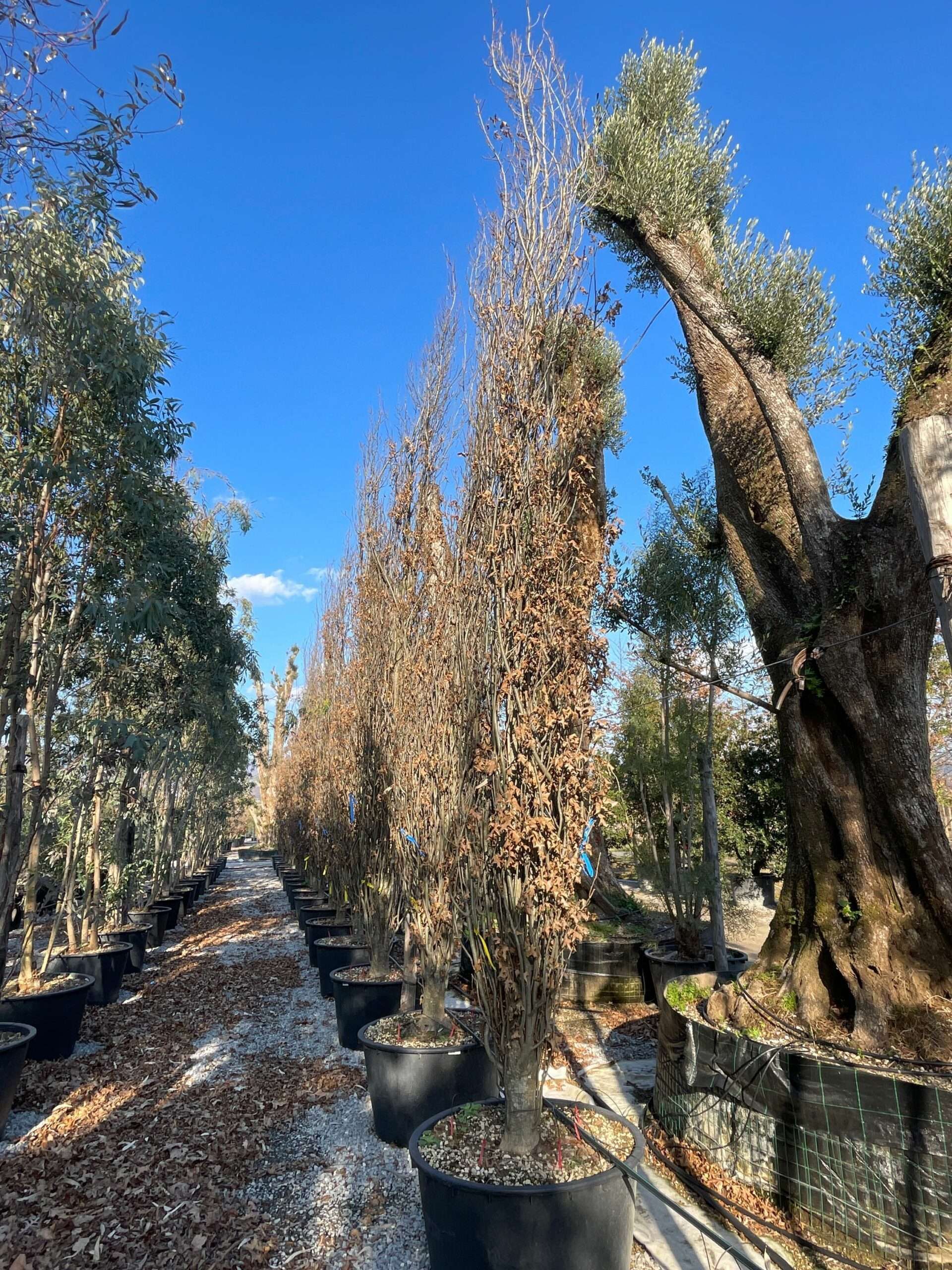 1644242428 scaled 6f01e1c2