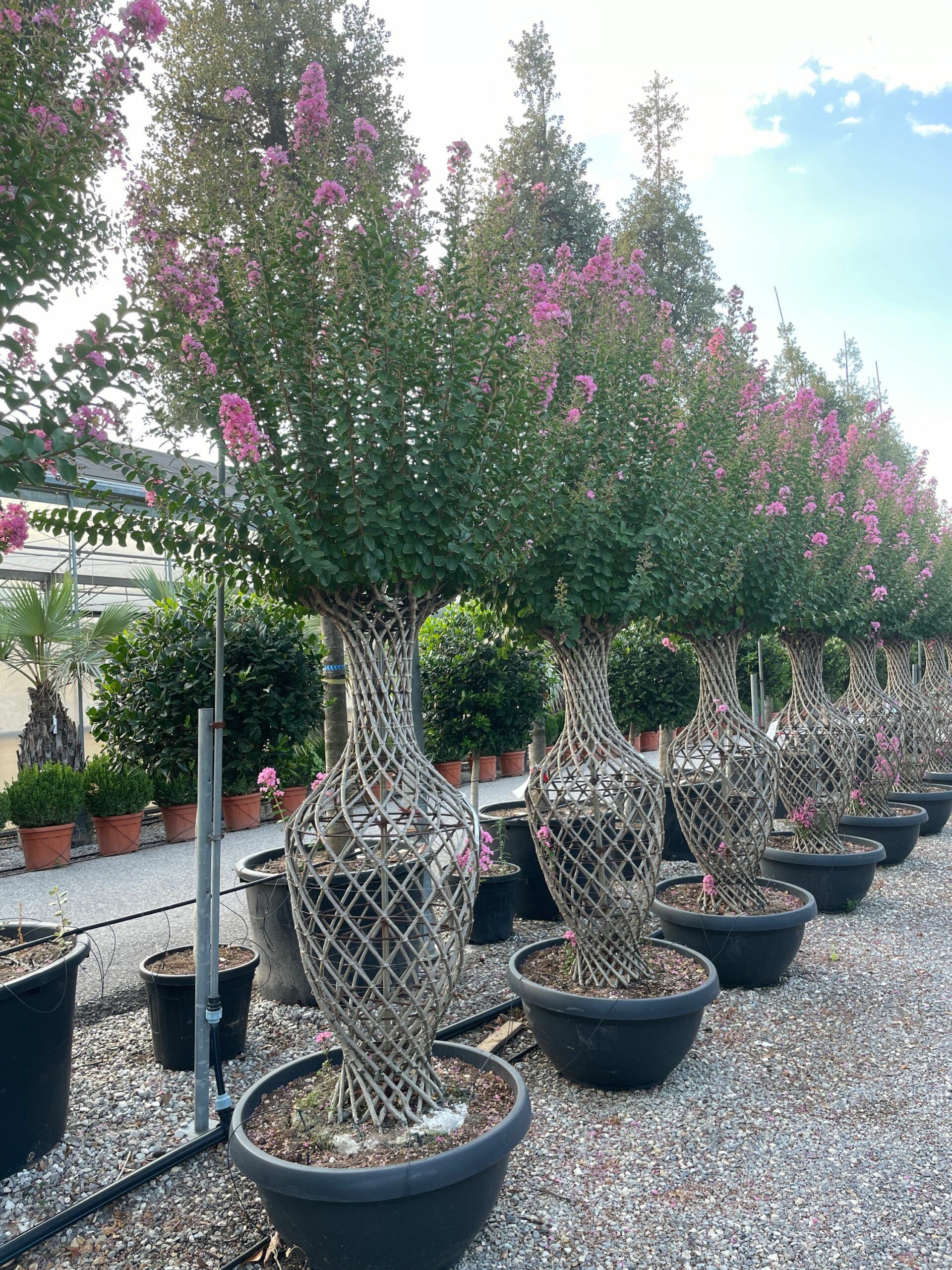 1659461196 scaled 6f69aafc