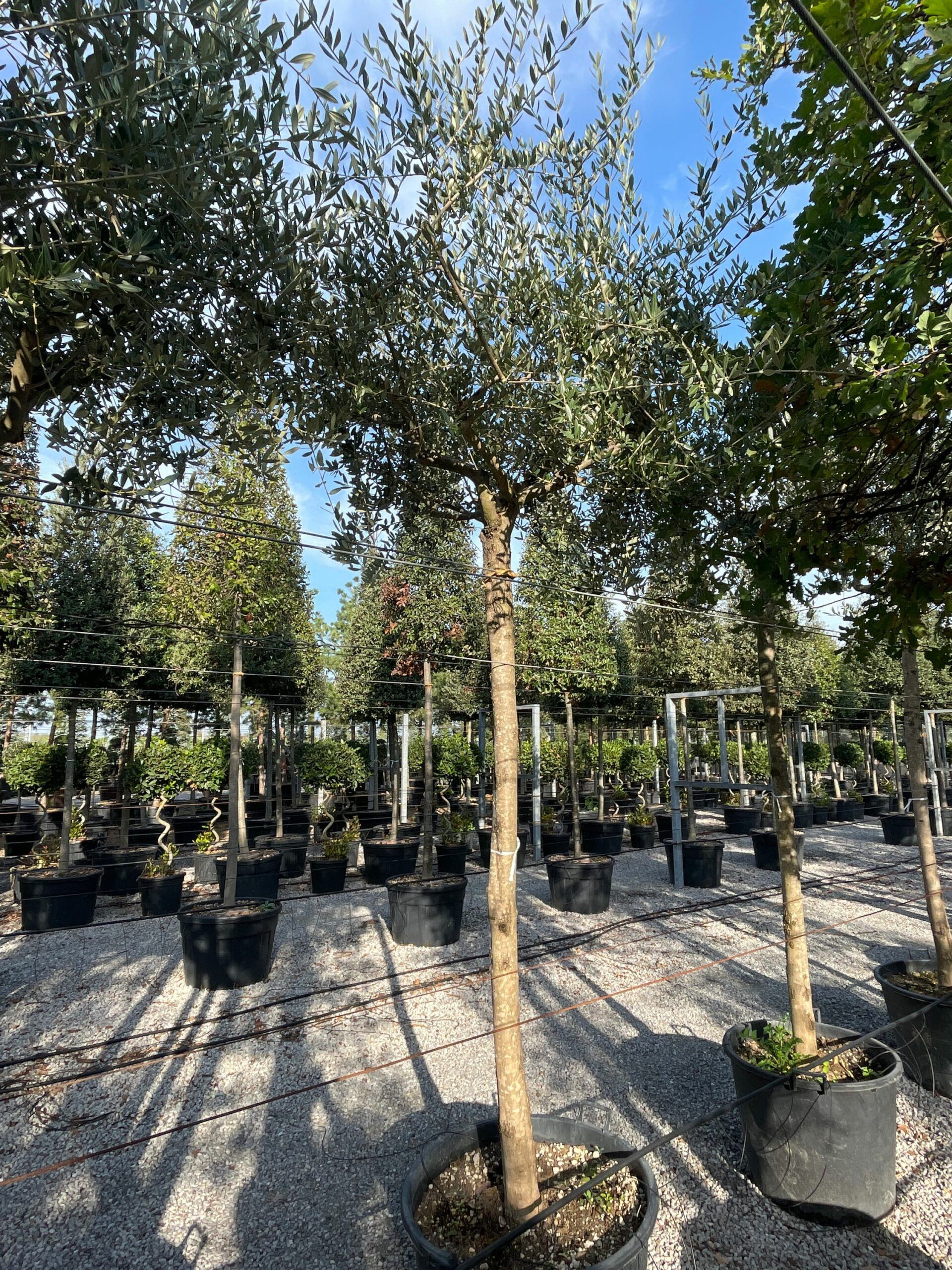 1666252906 scaled 6f29c796