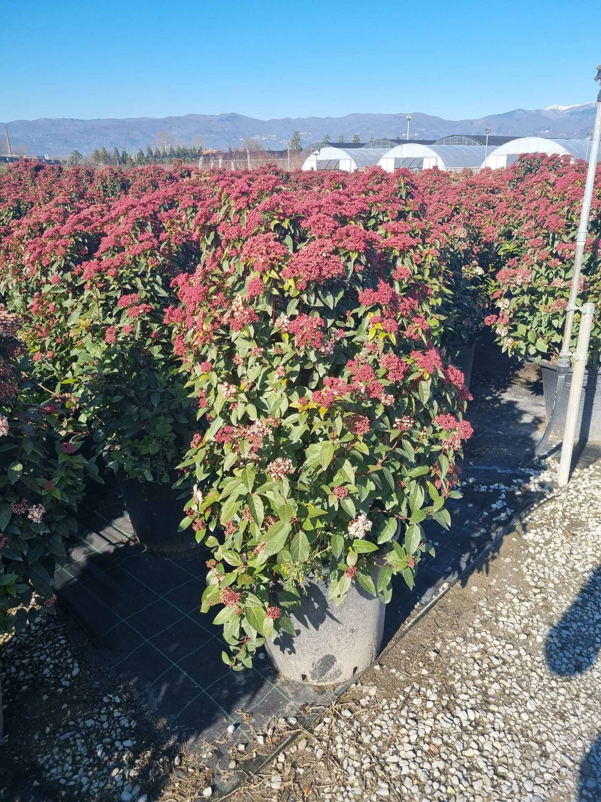 1676026175 scaled 6ff61b08