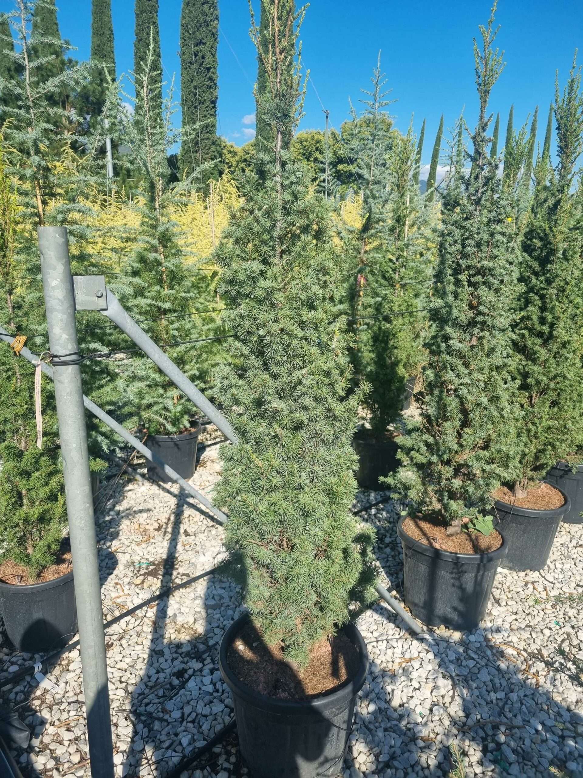 1695649042 scaled 6f4cb1a4