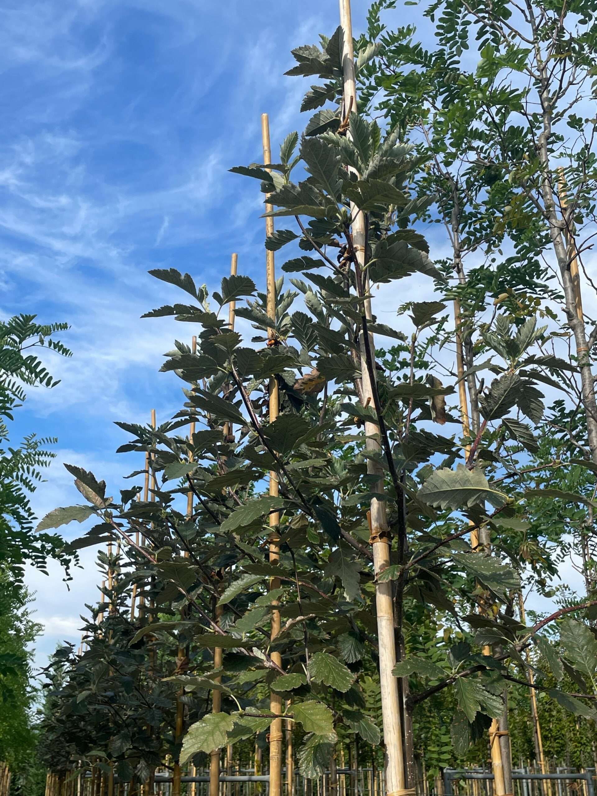 1695890314 scaled 6fc3a812