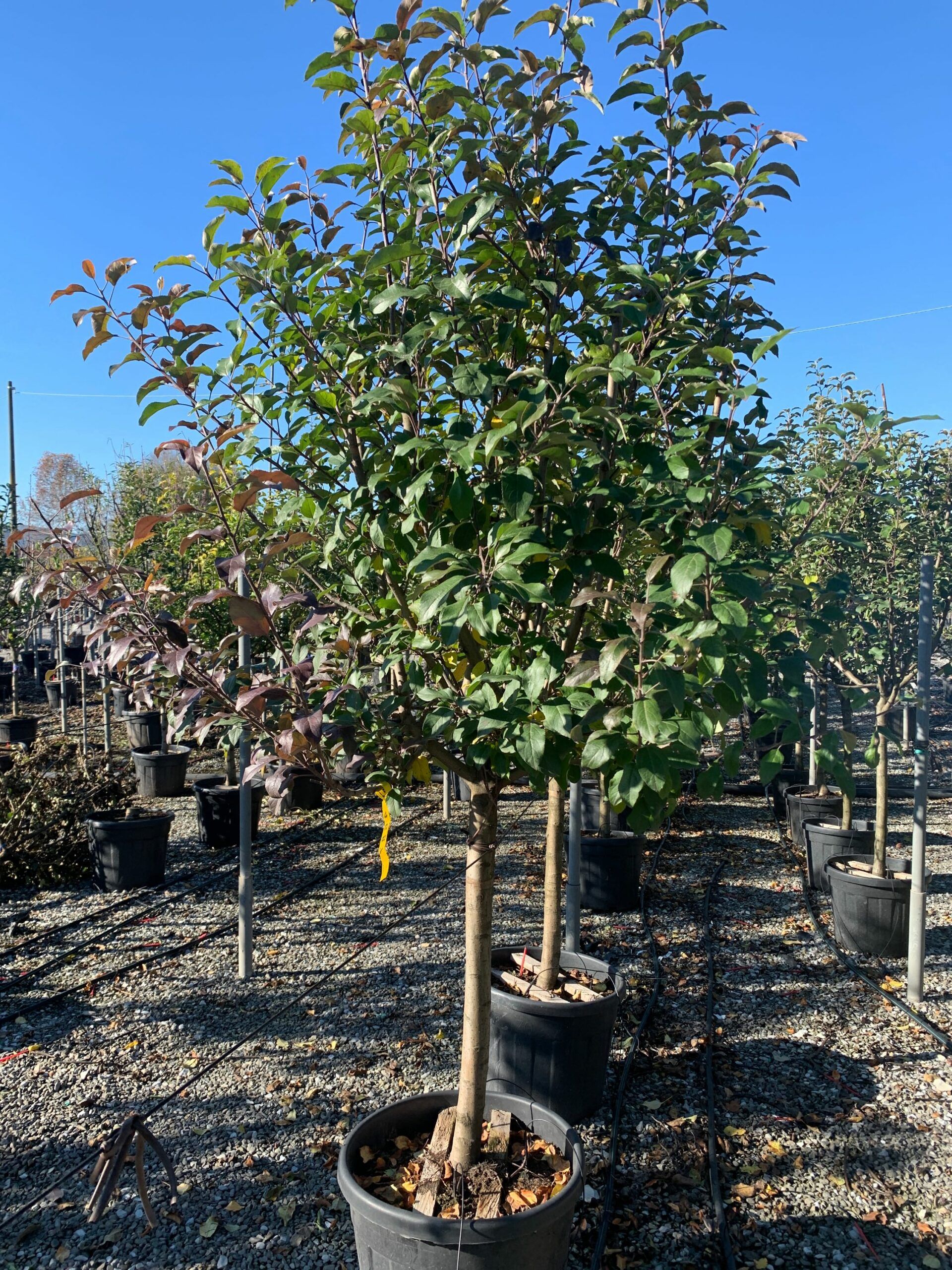 1637747959 scaled 70ffa4eb