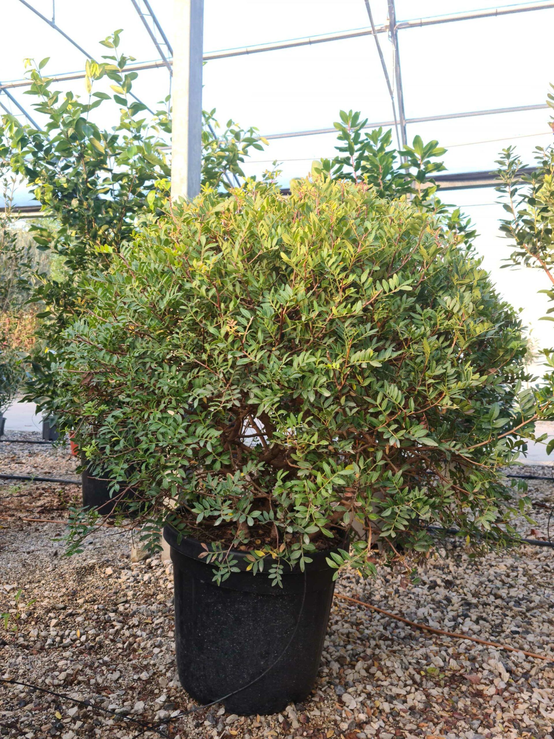 1639469712 scaled 70152b73