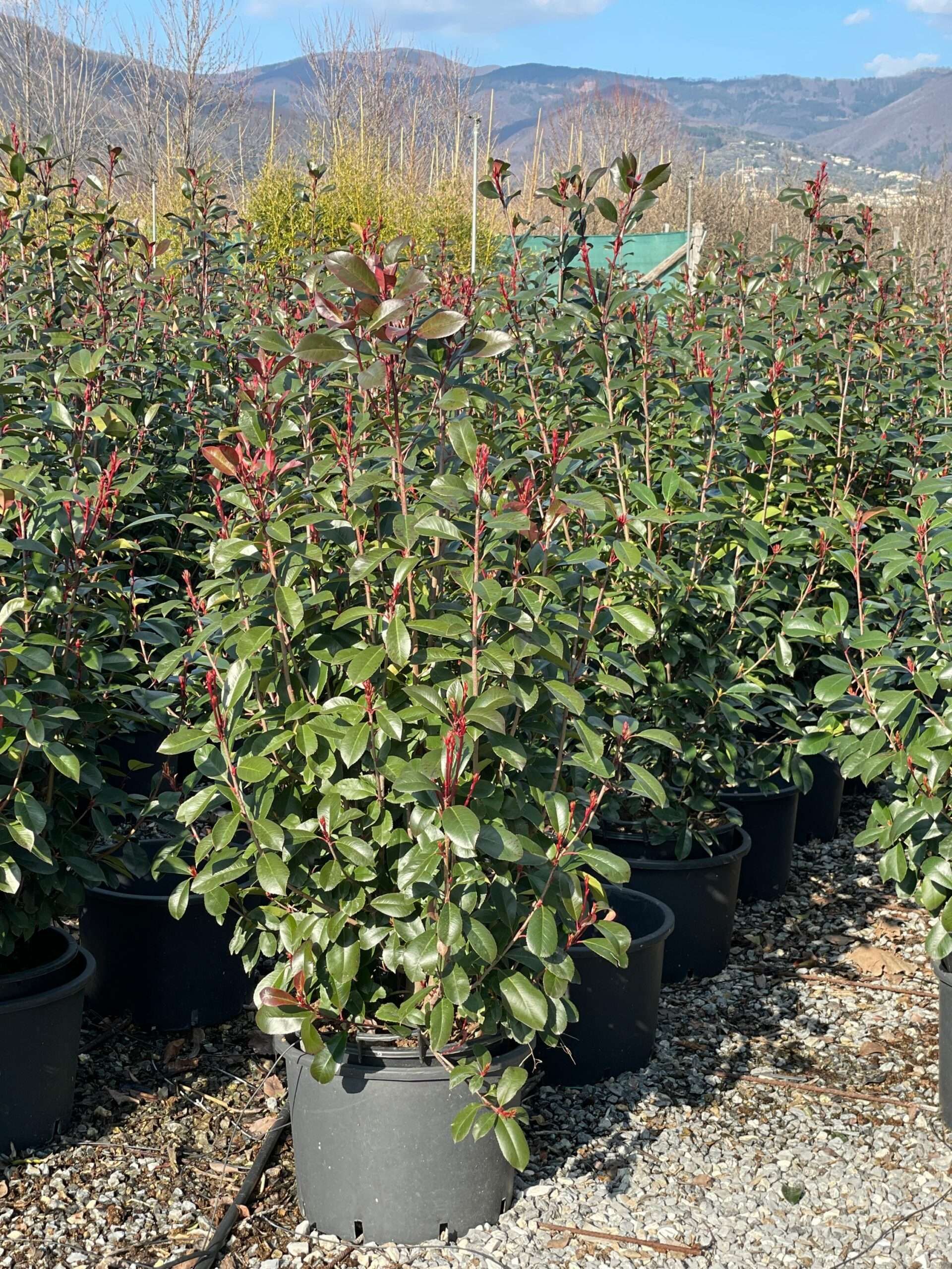 1644239849 scaled 702574a1