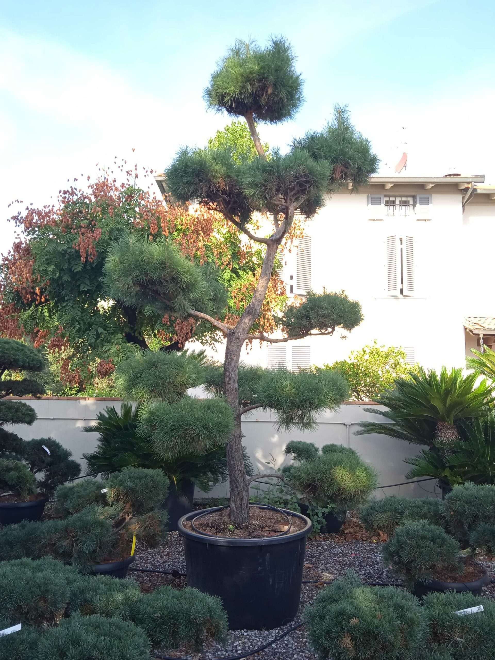 1662362668 scaled 70bb60c0