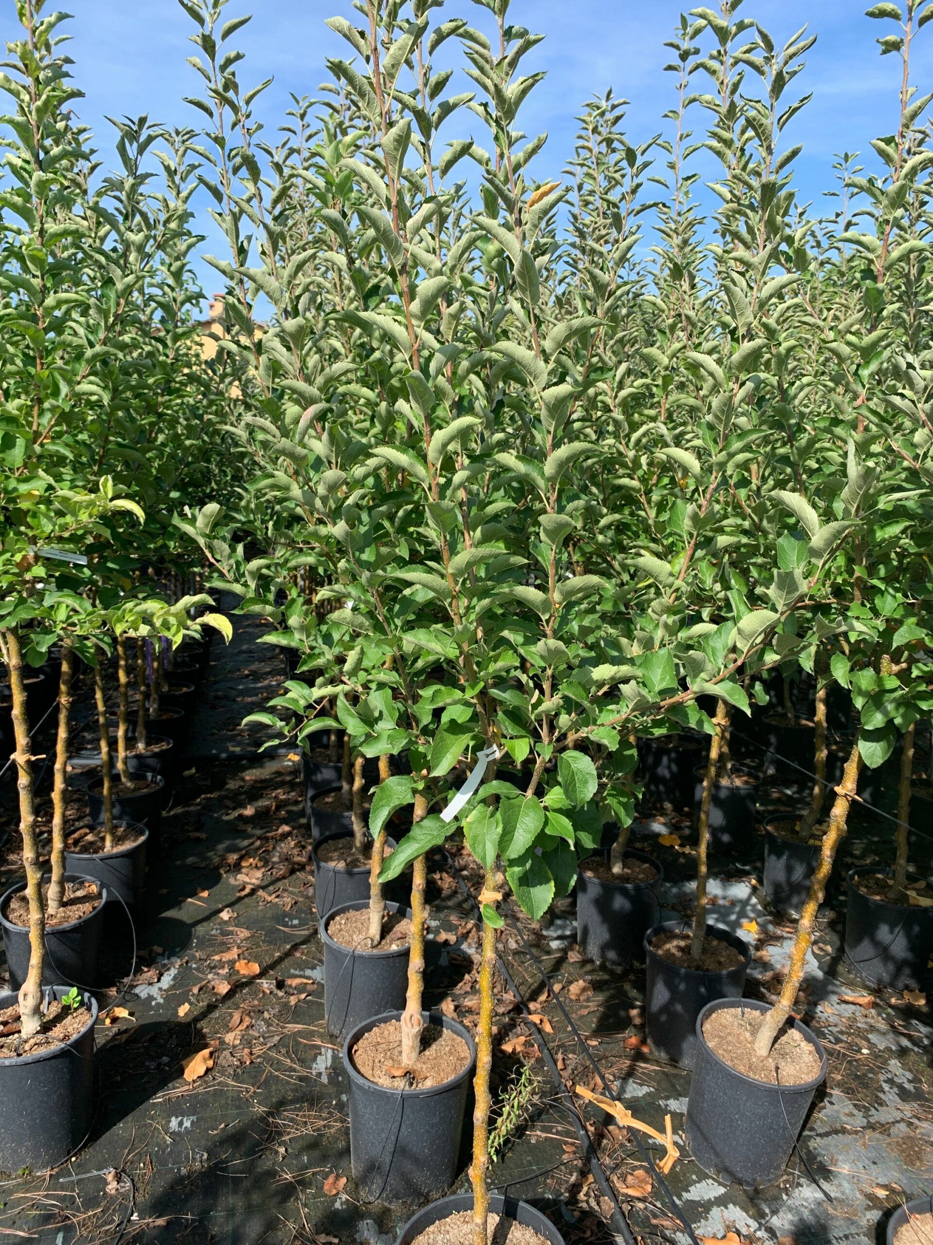 1662366755 scaled 70e747c5