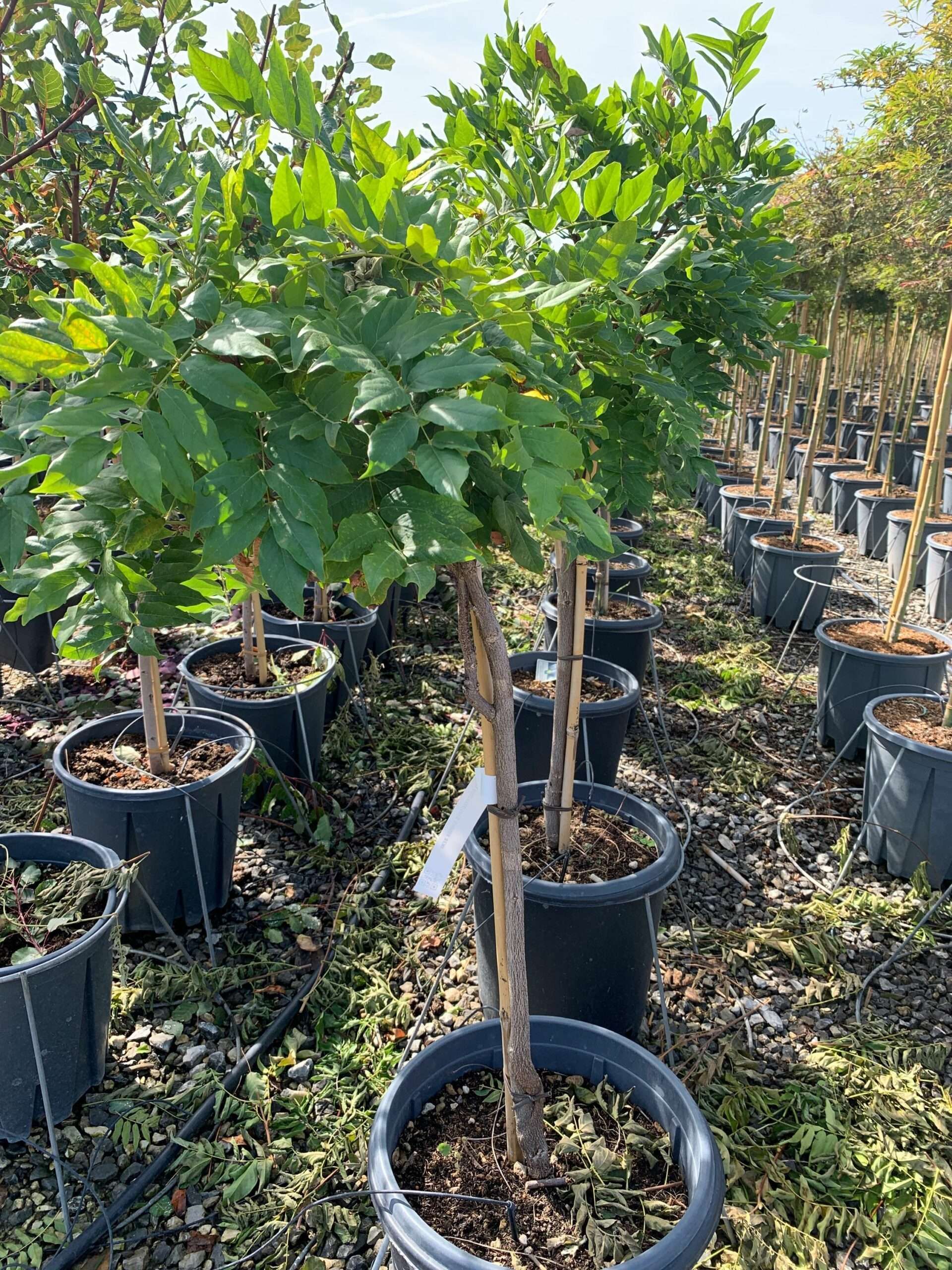 1662368080 scaled 7005da82