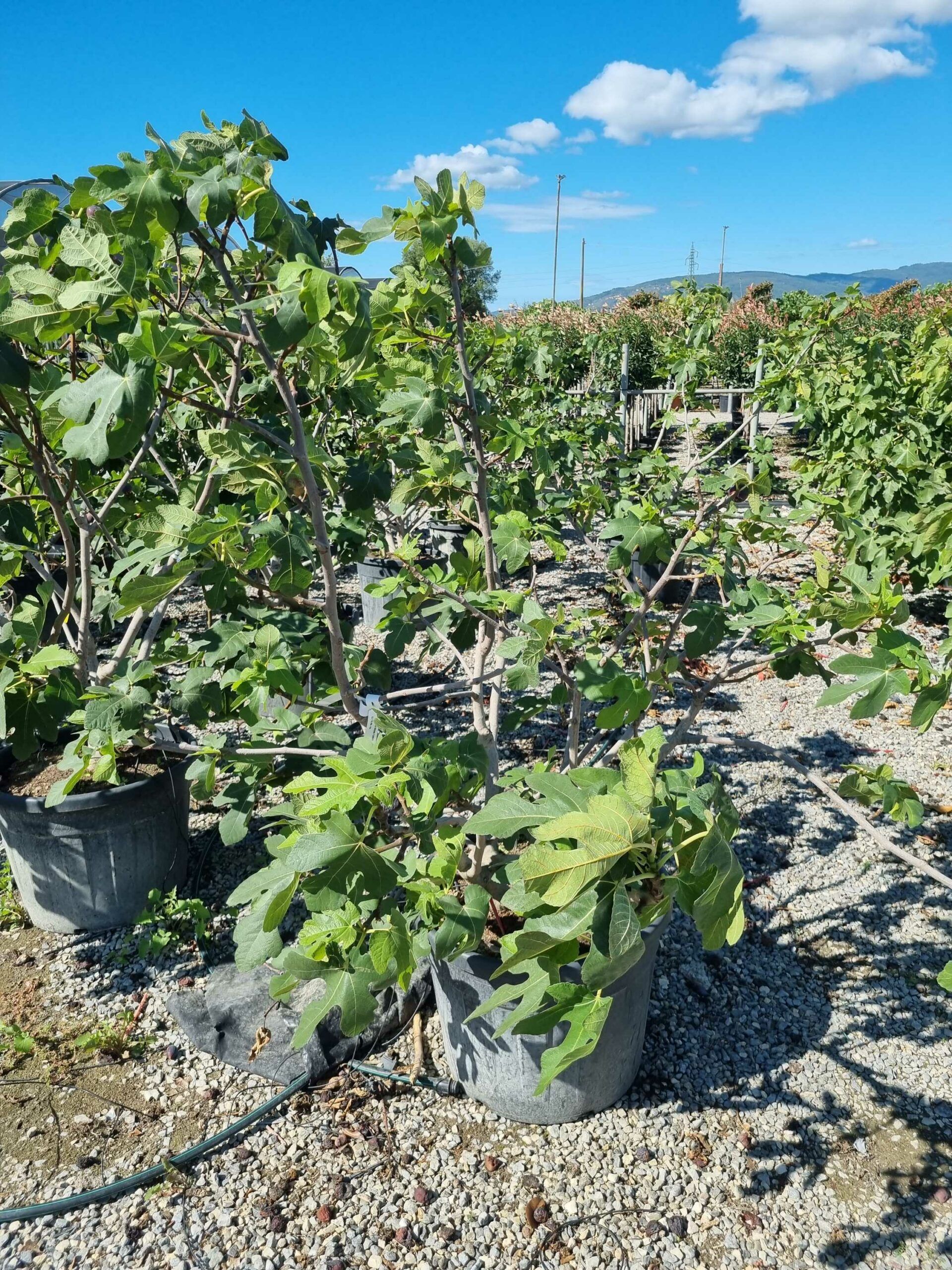 1663752771 scaled 70befdd5