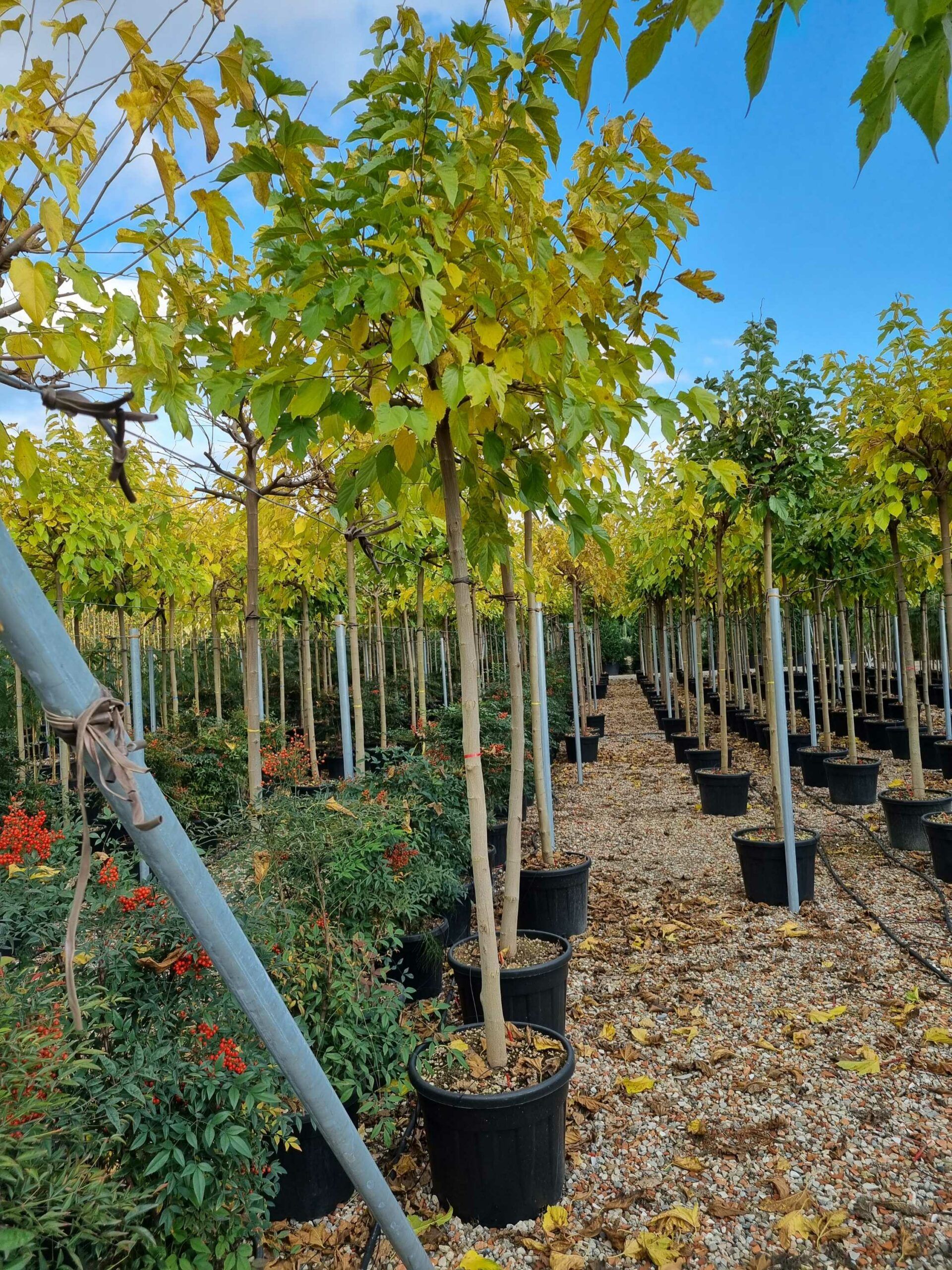 1668434062 scaled 70d1e644