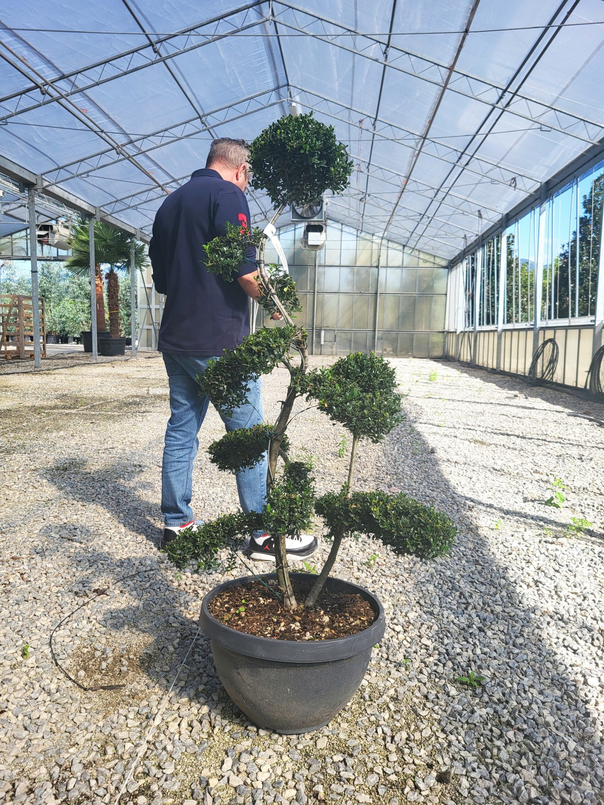 1696398155 scaled 70afc2fe