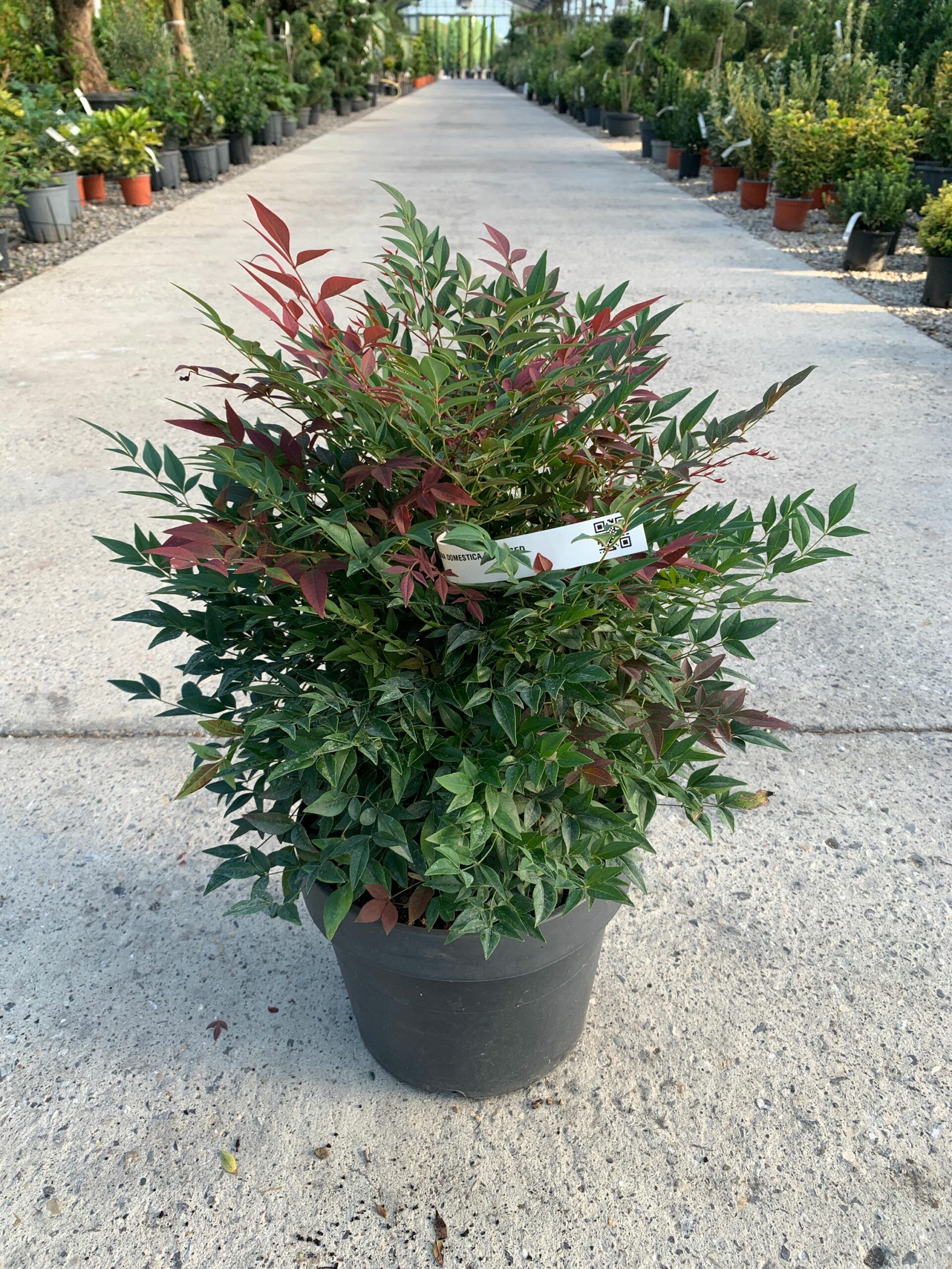 1632811999 scaled 71d19c34