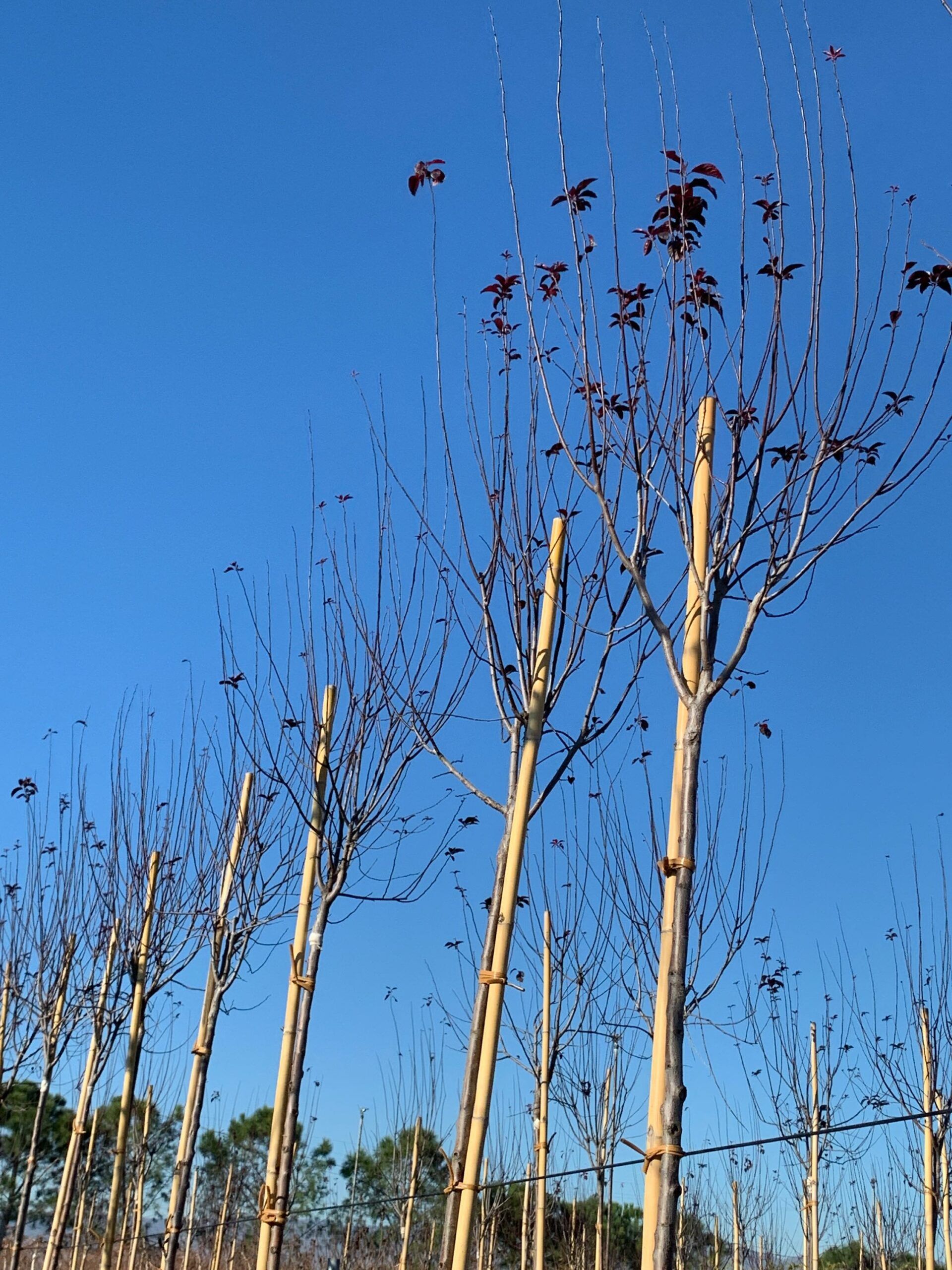 1638268463 scaled 717b2318