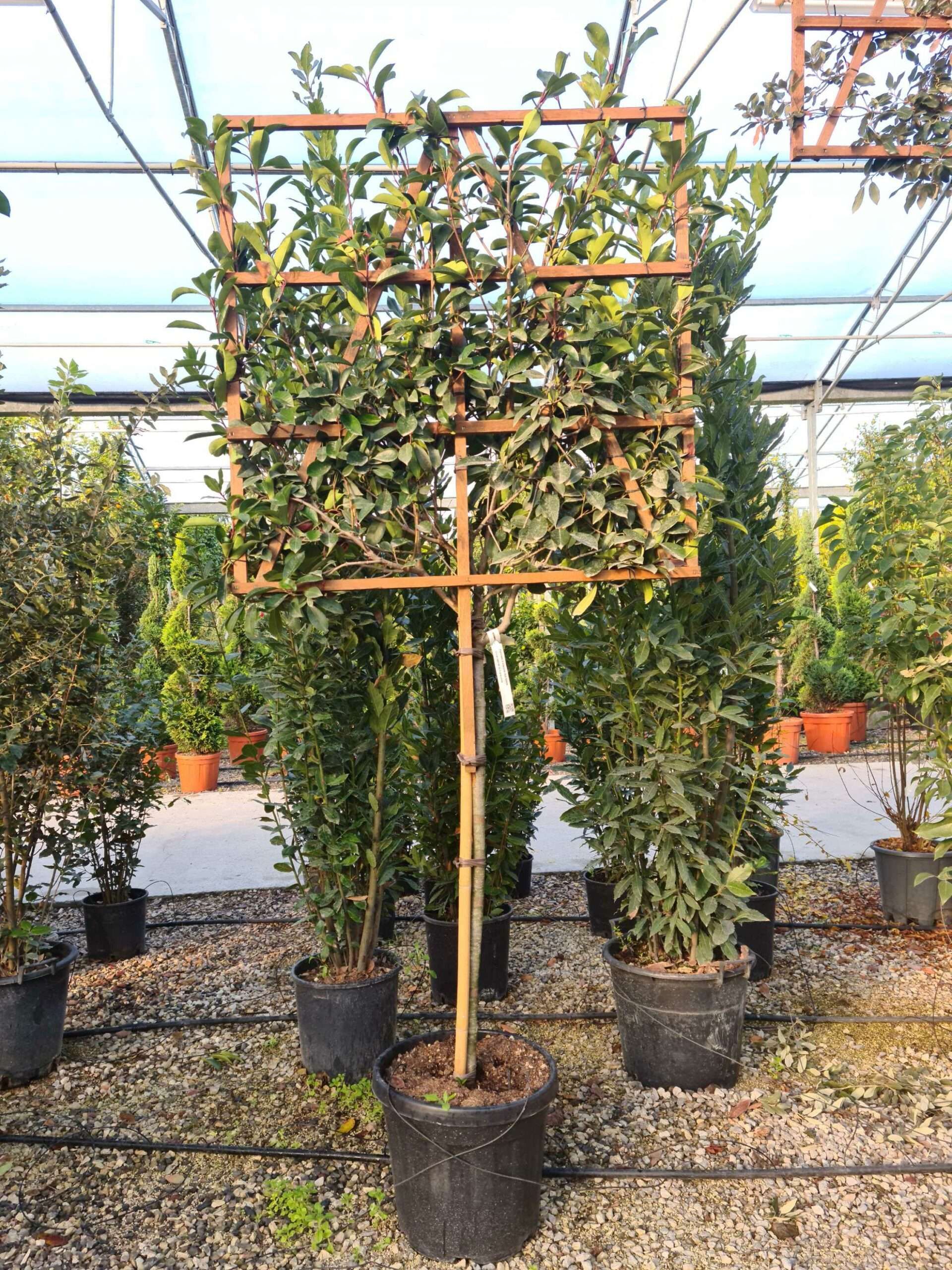 1639471260 scaled 7193e62c