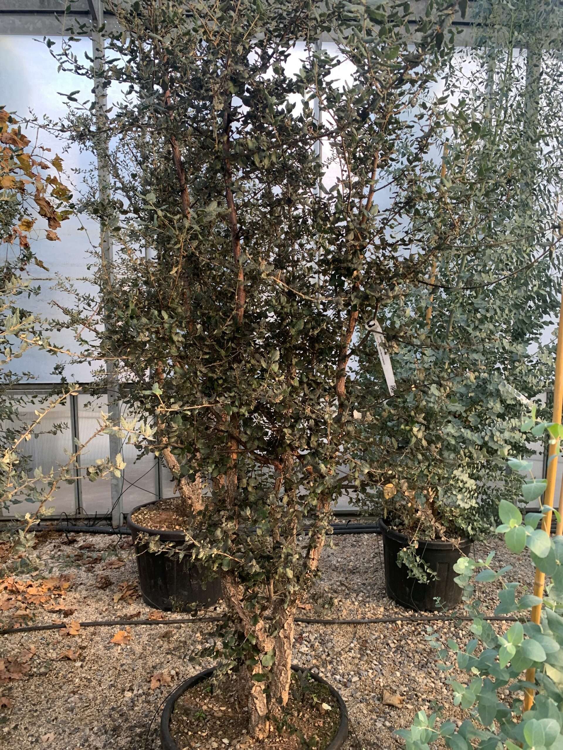 1639489250 scaled 71ca8758