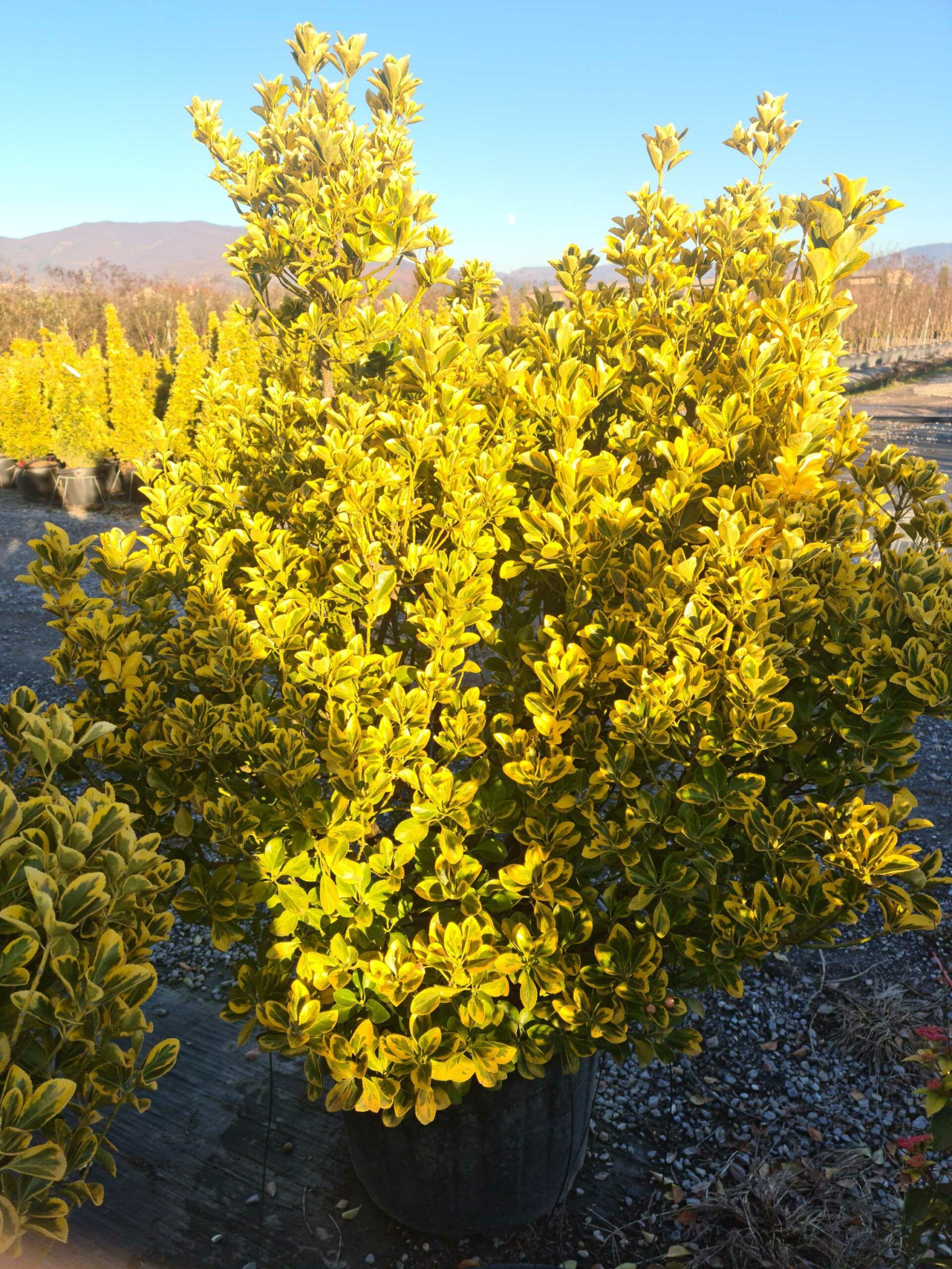 1639665081 scaled 7116cc09