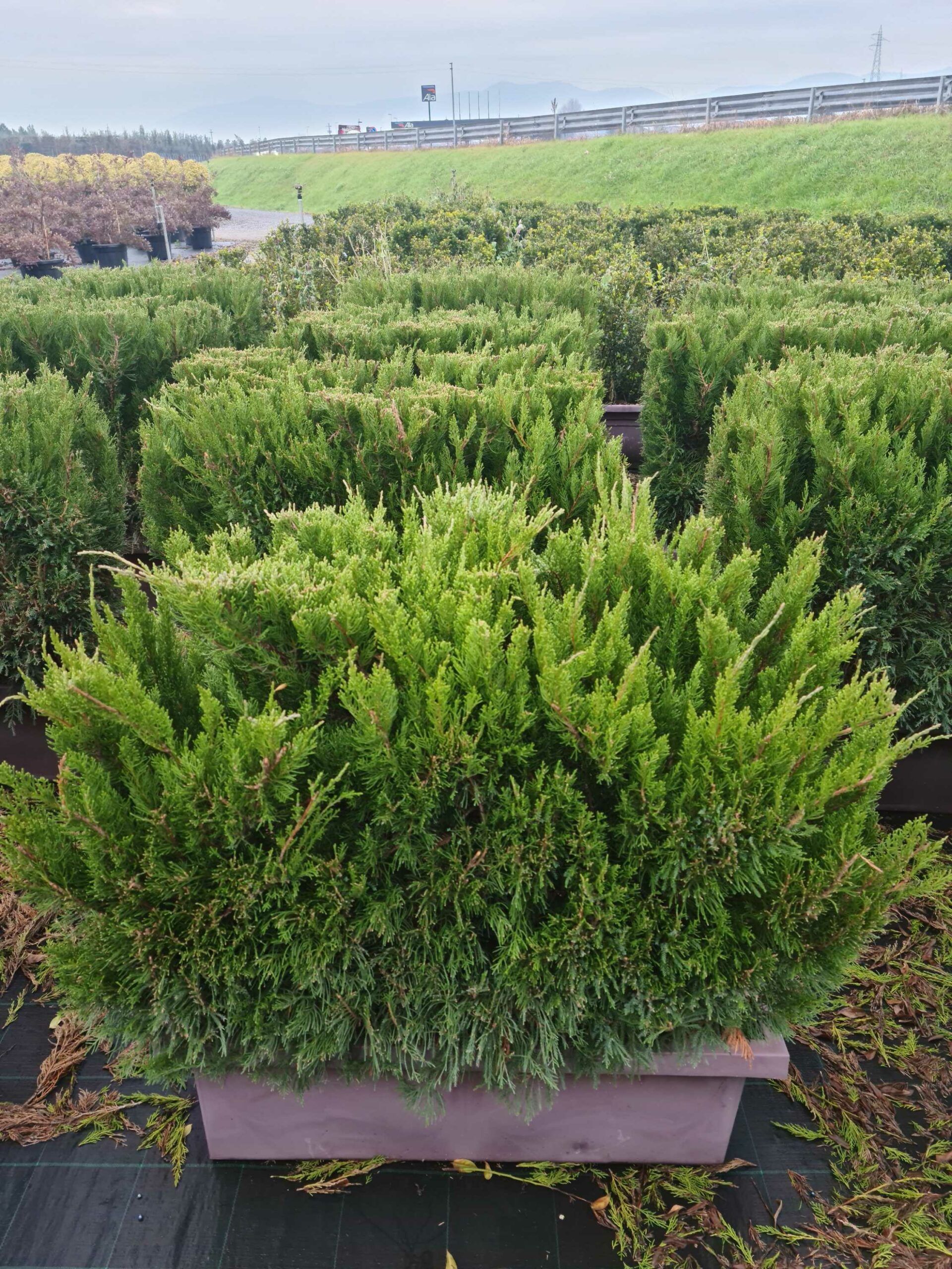 1640248830 scaled 713d01dd