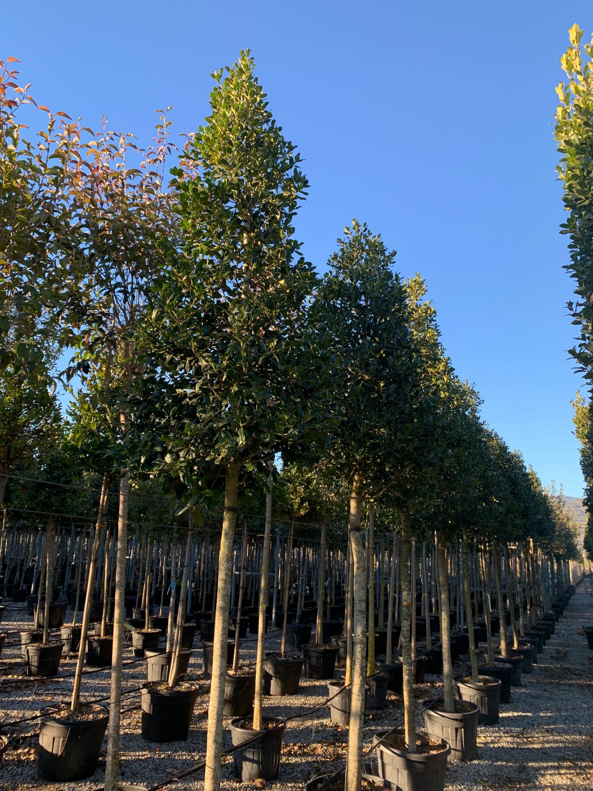 1643728729 scaled 71637ce2