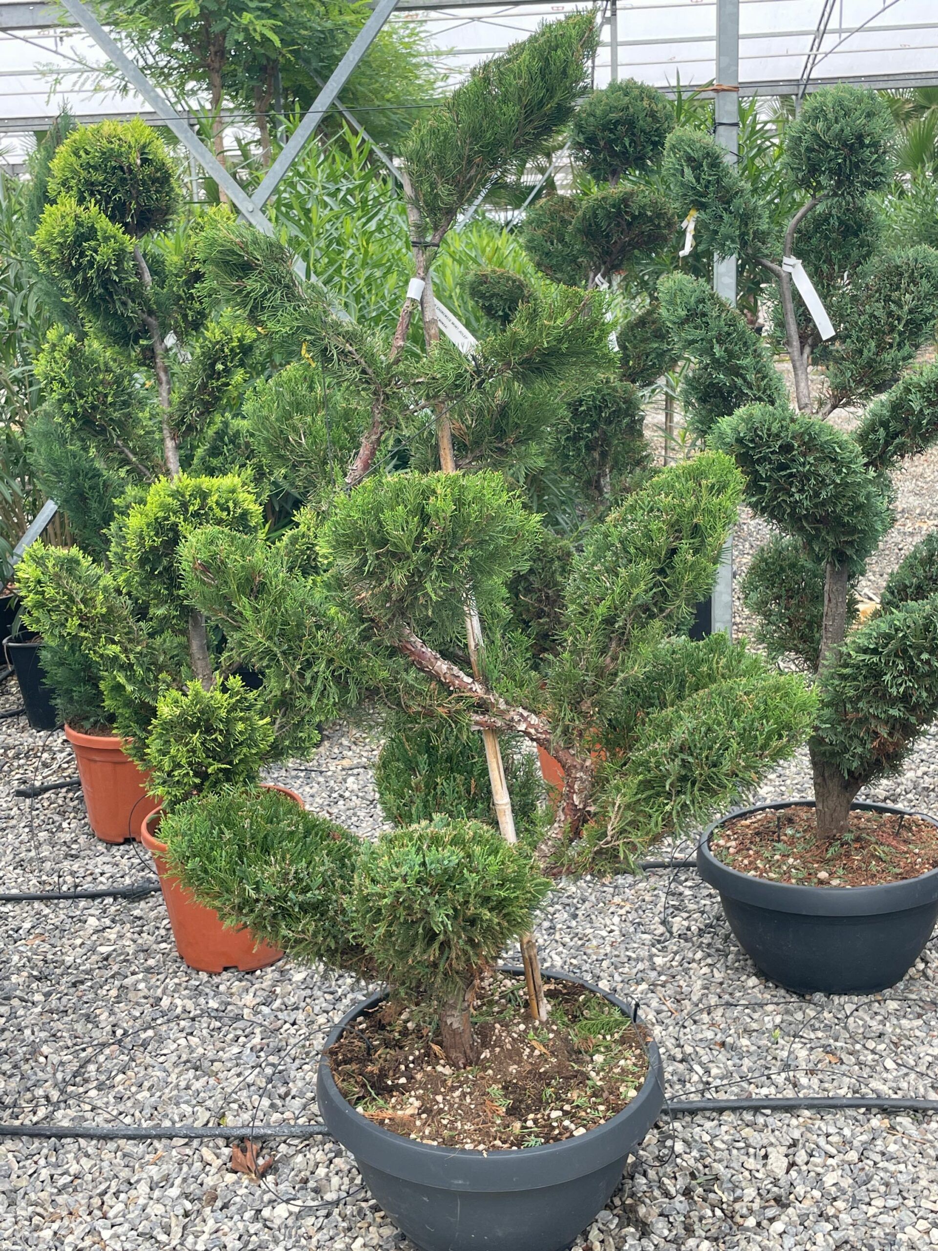 1661934031 scaled 71512210