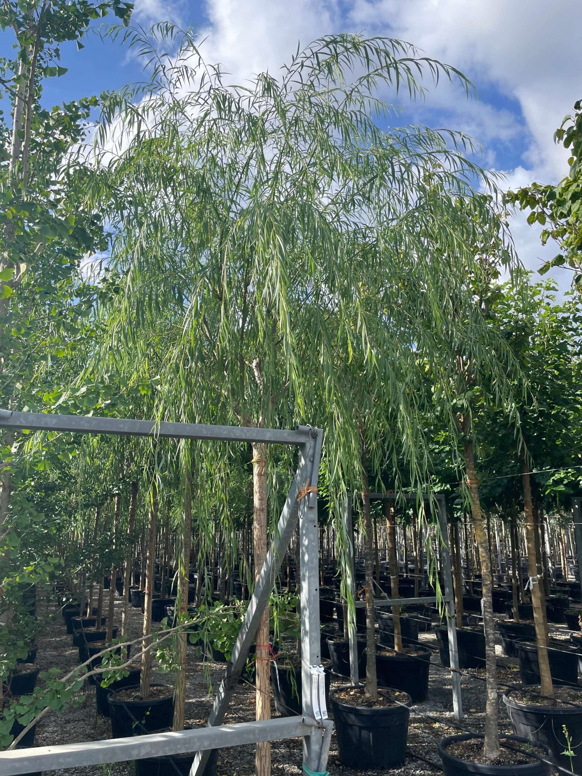 1662710230 scaled 716c15c0