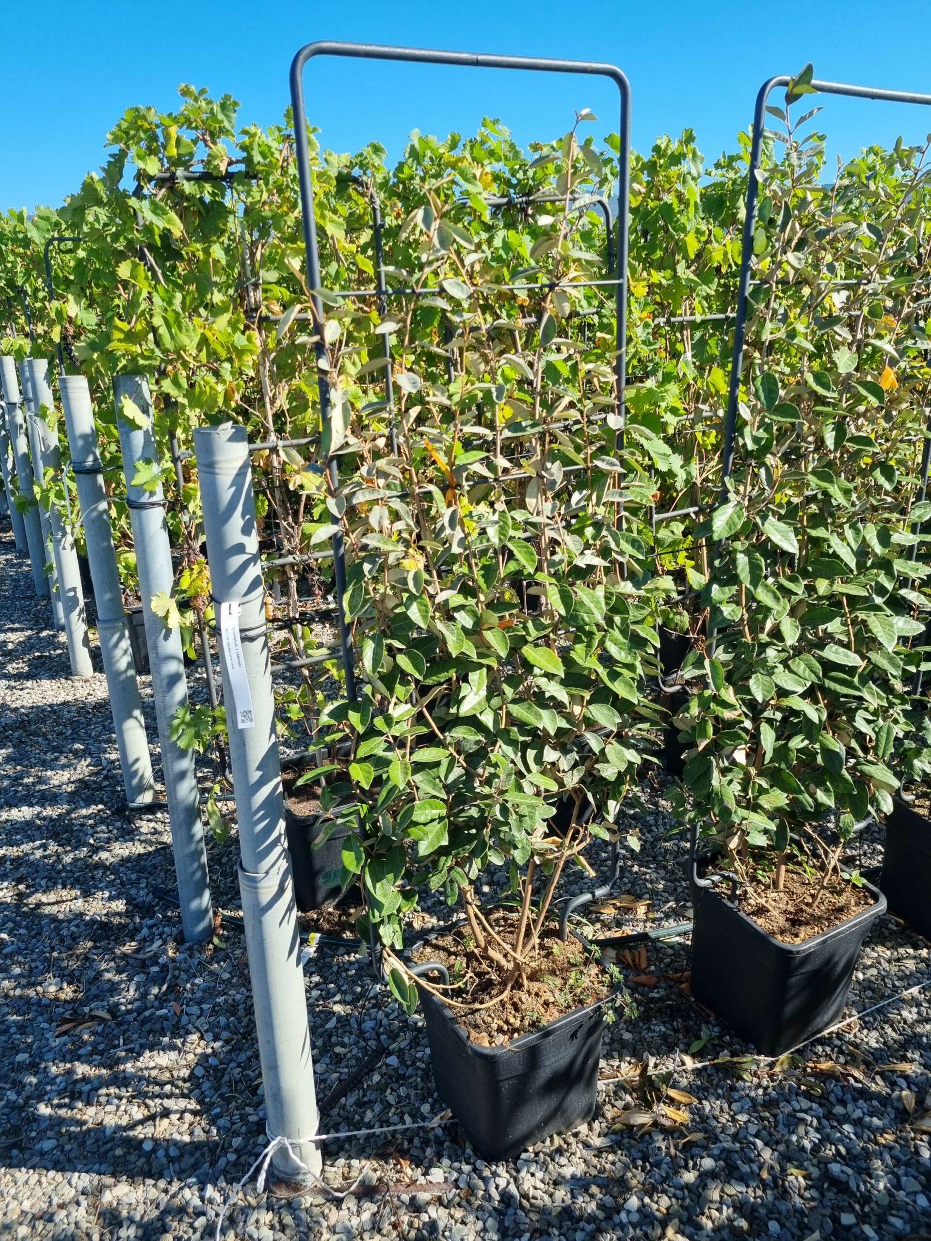 1663662339 1 scaled 7163b7bd