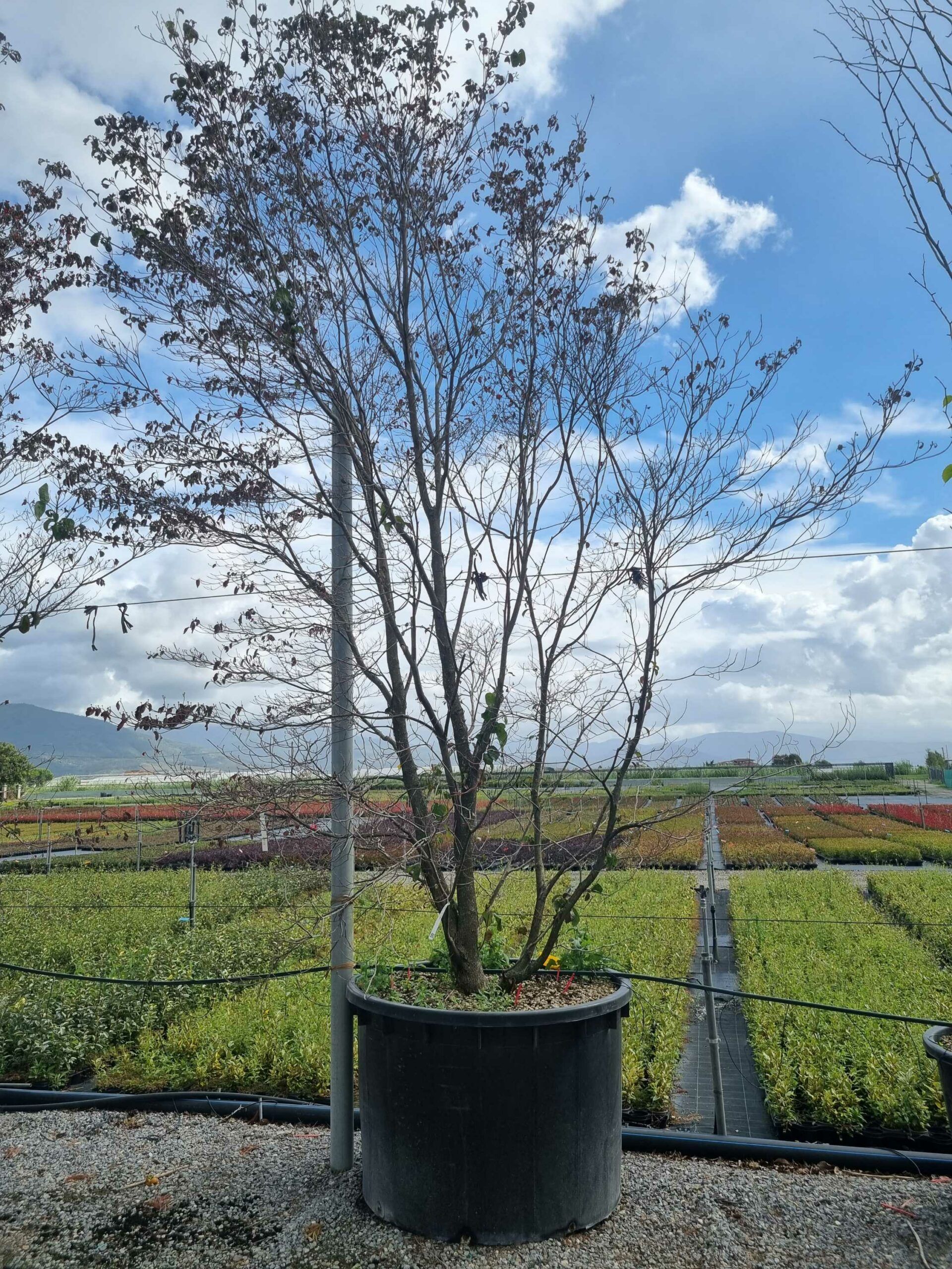 1664442909 scaled 718ebd44