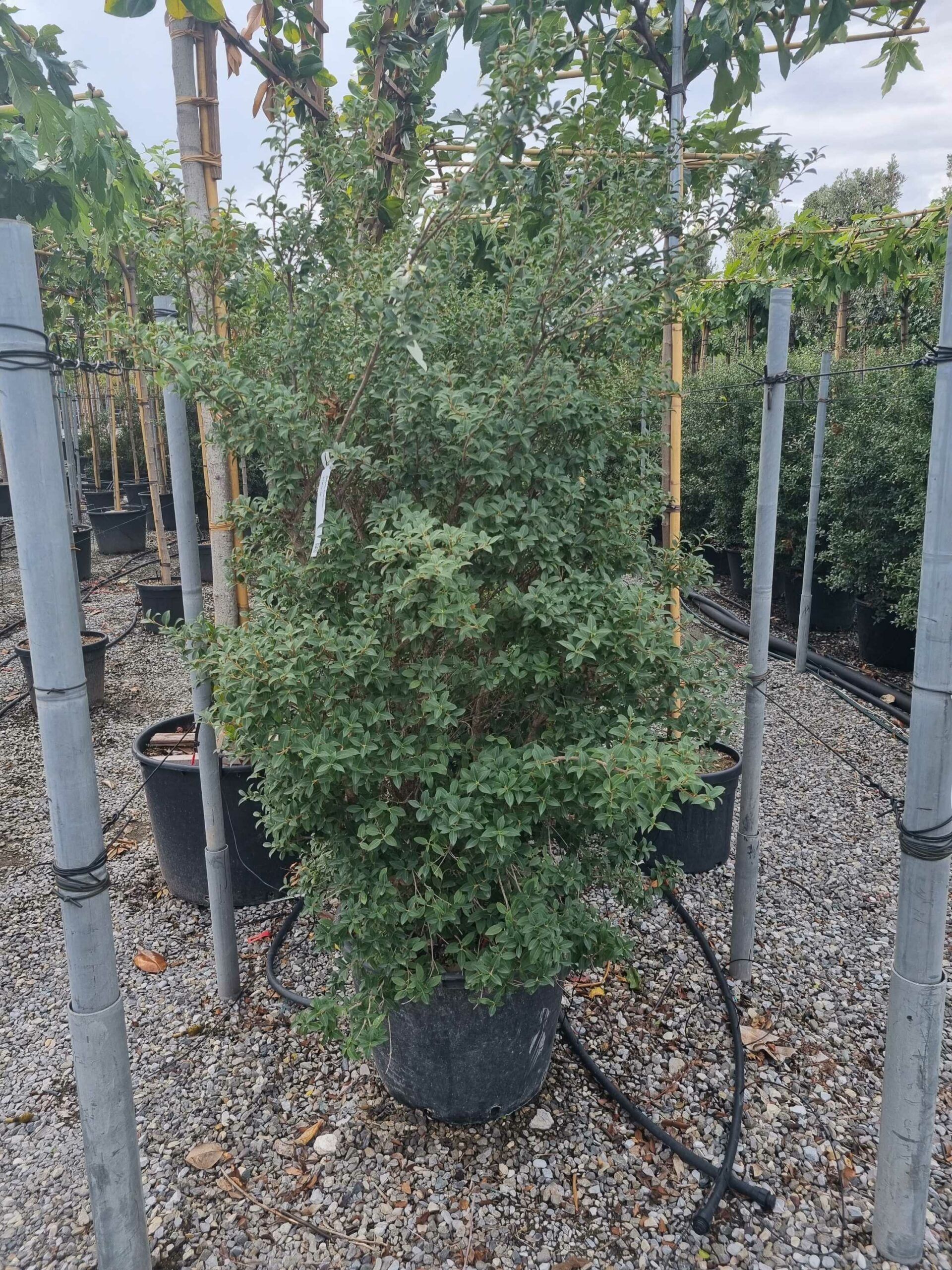 1664461461 scaled 71e233f3