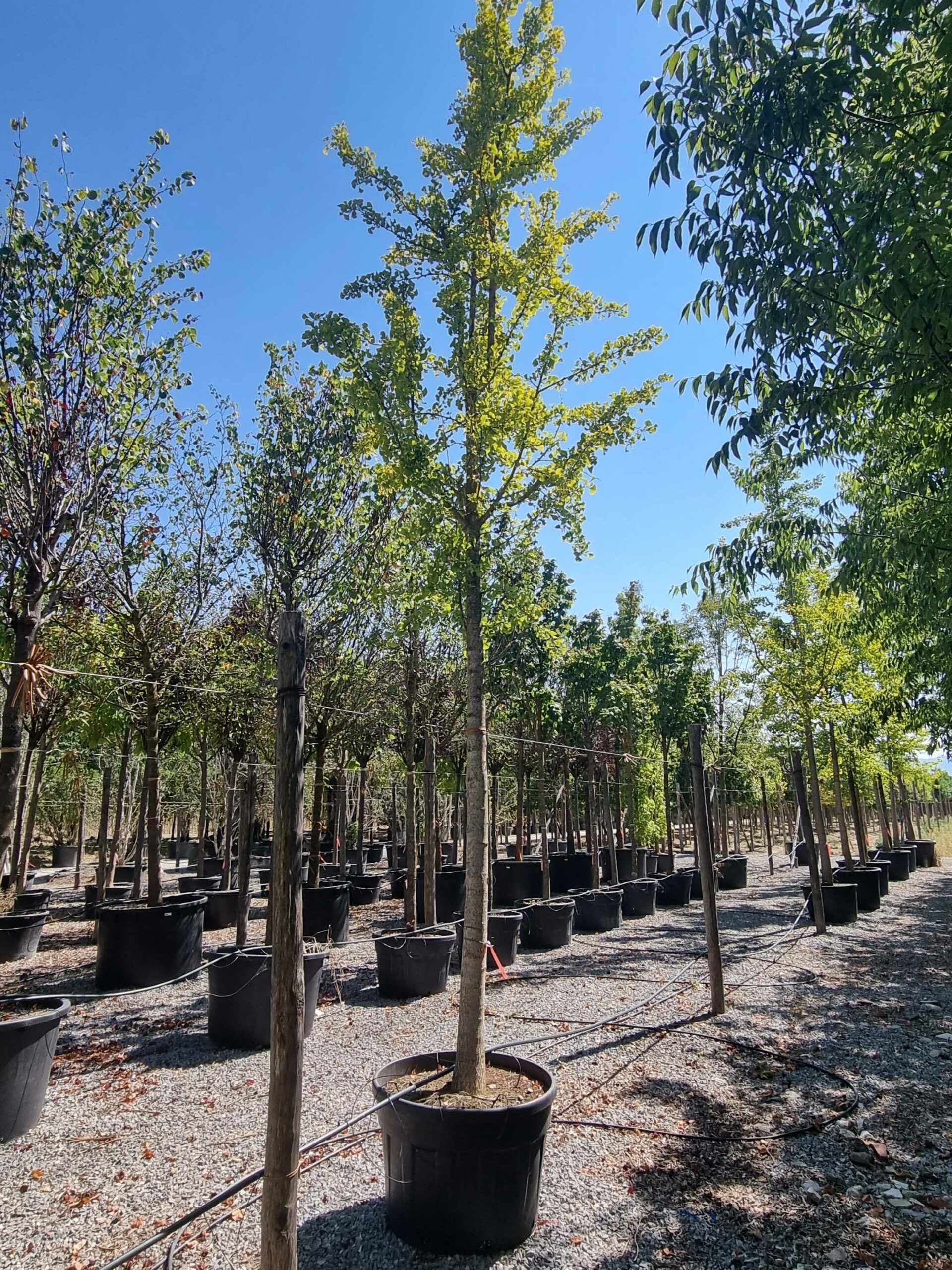 1692709395 scaled 71cc6121