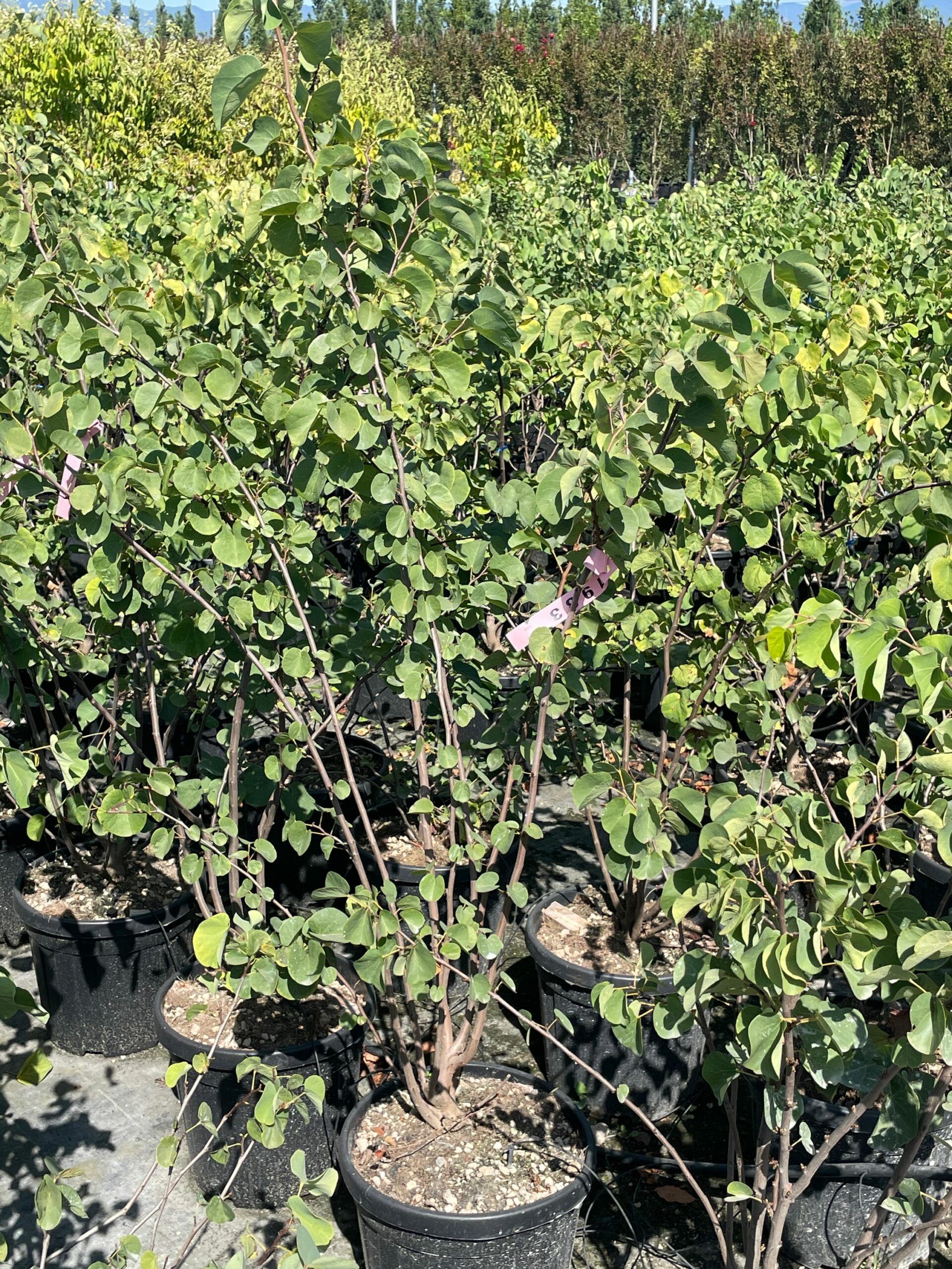 1692867868 scaled 71a1517c