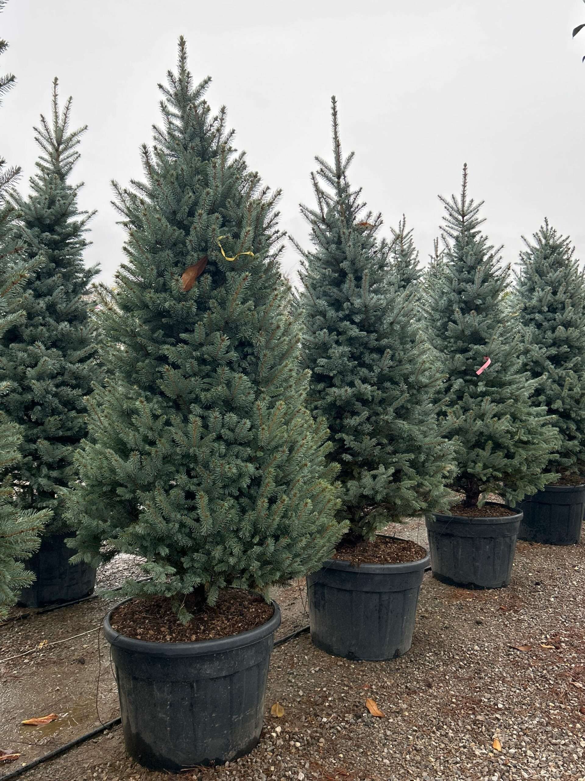 1698156059 scaled 71e8e8fd