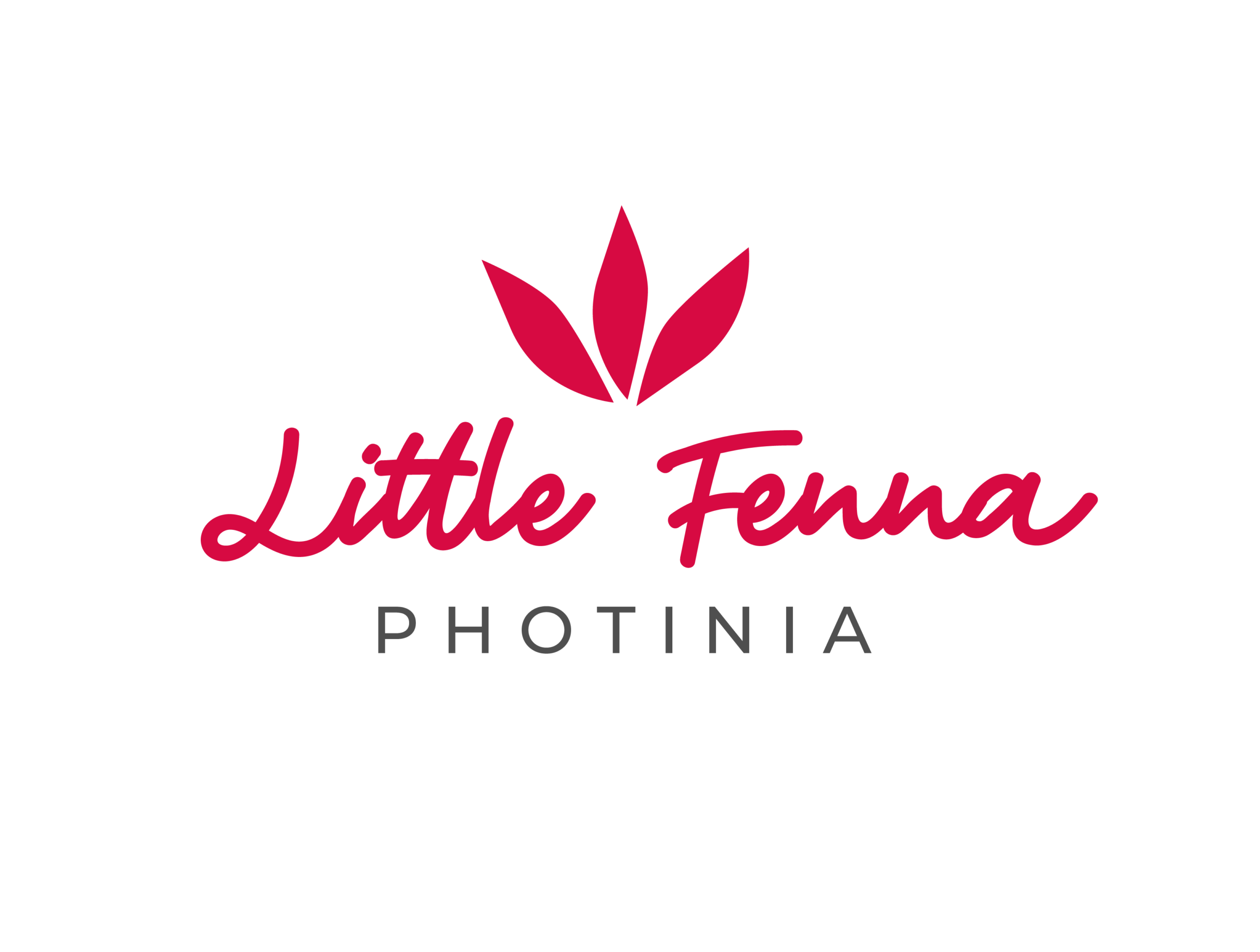 phflife 2020 scaled 71e04d2a