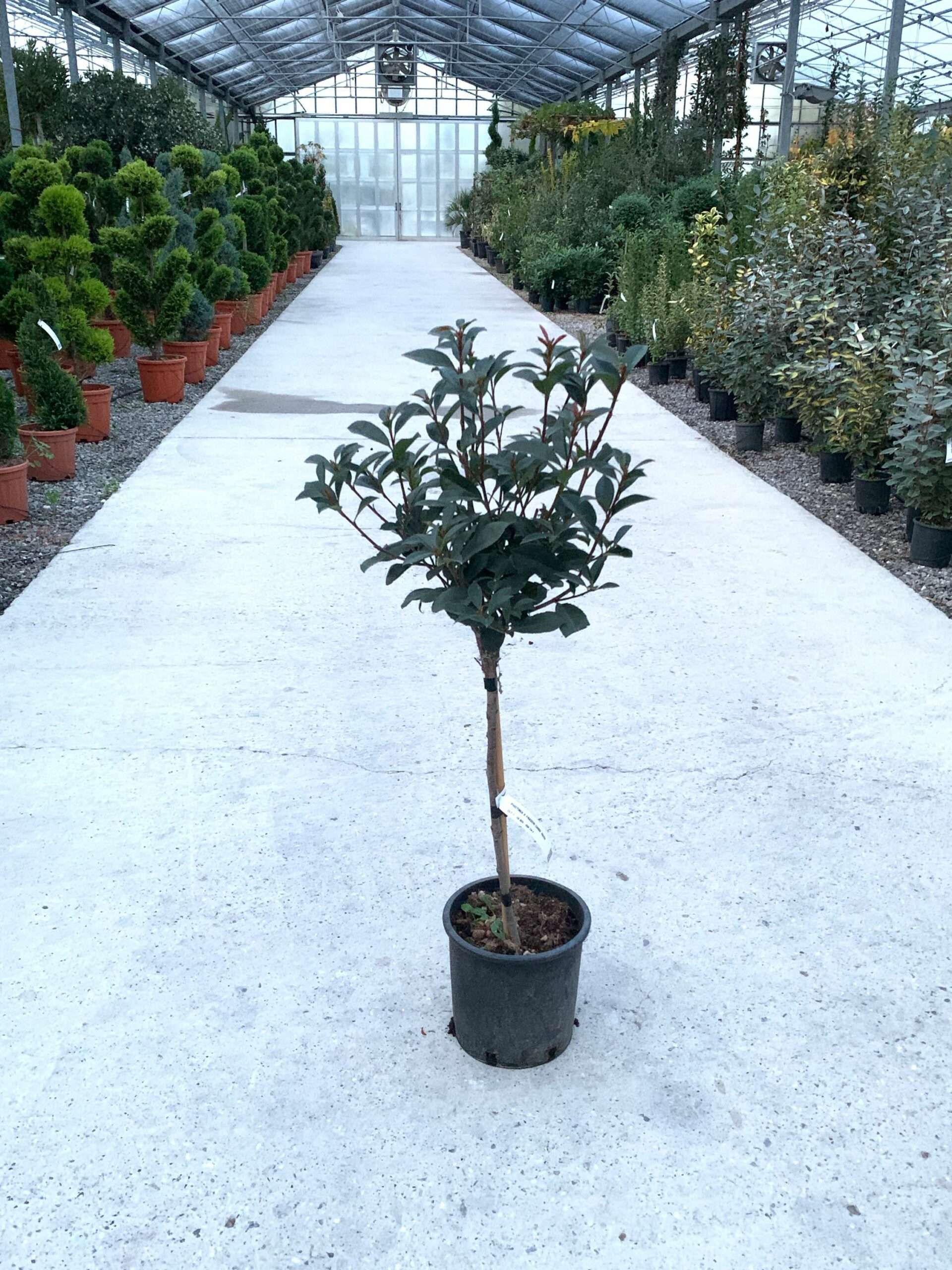 1636646526 scaled 72d7c4d8