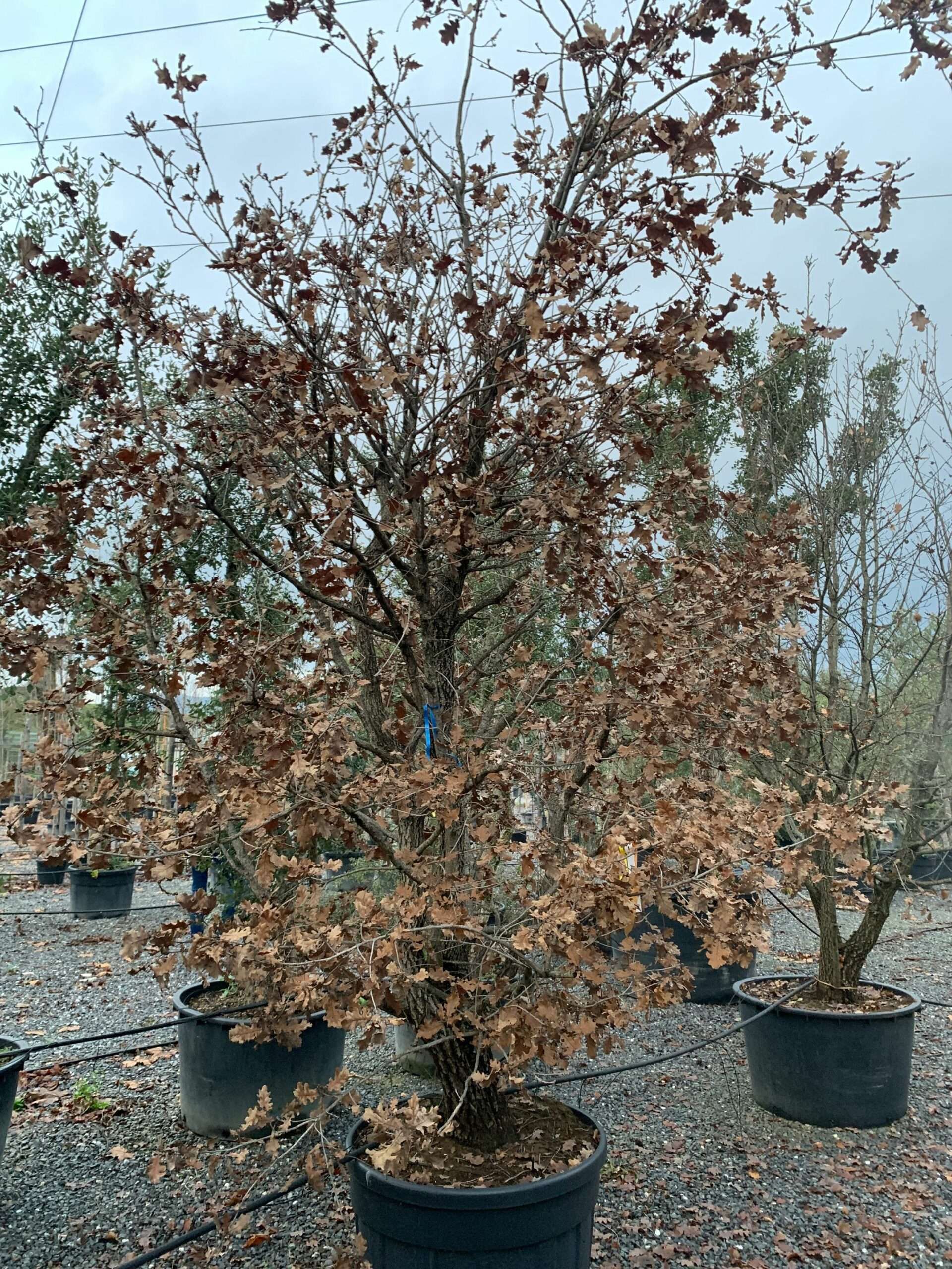 1641224105 scaled 722d38ff