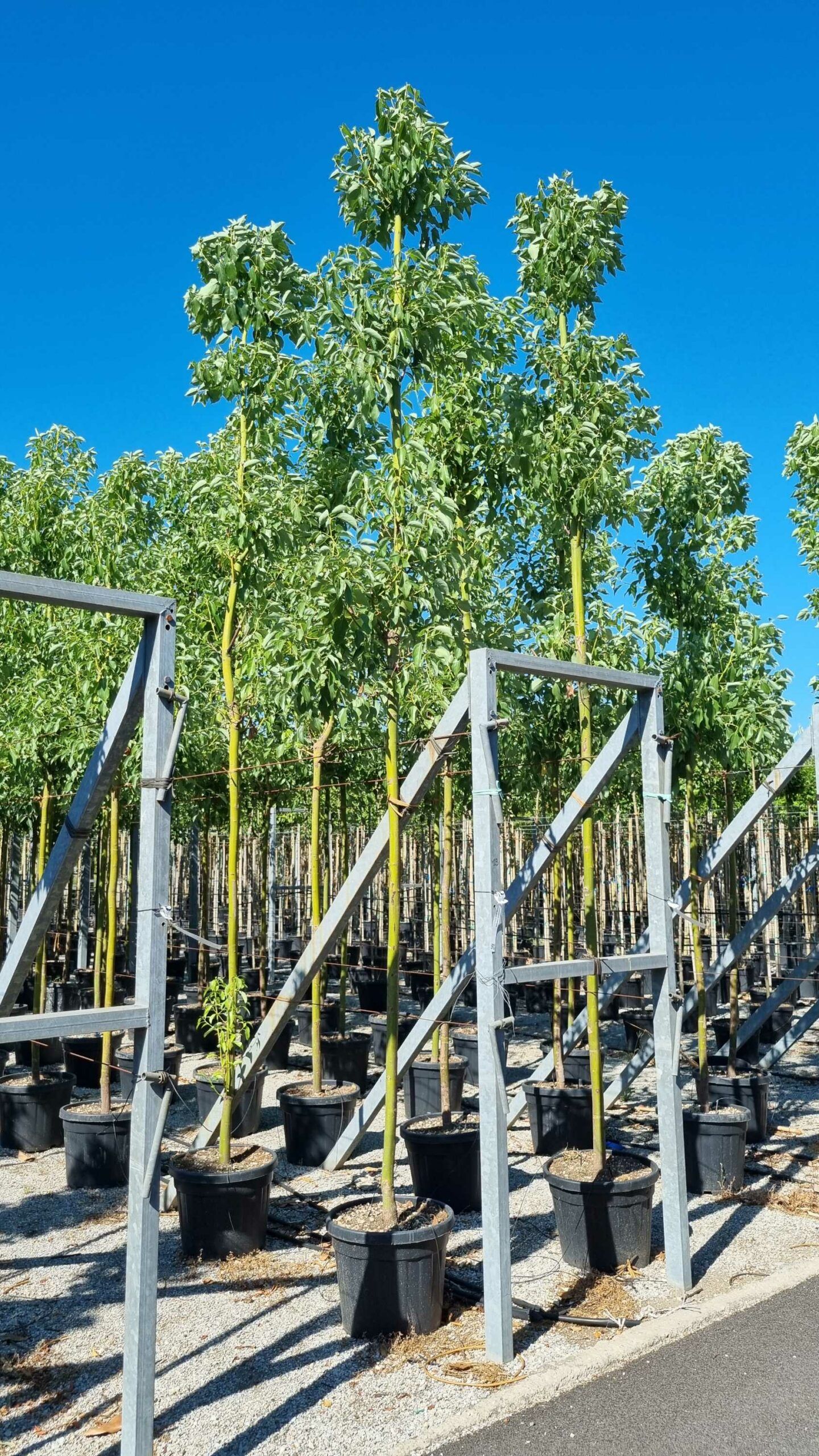 1657897162 scaled 72342b14