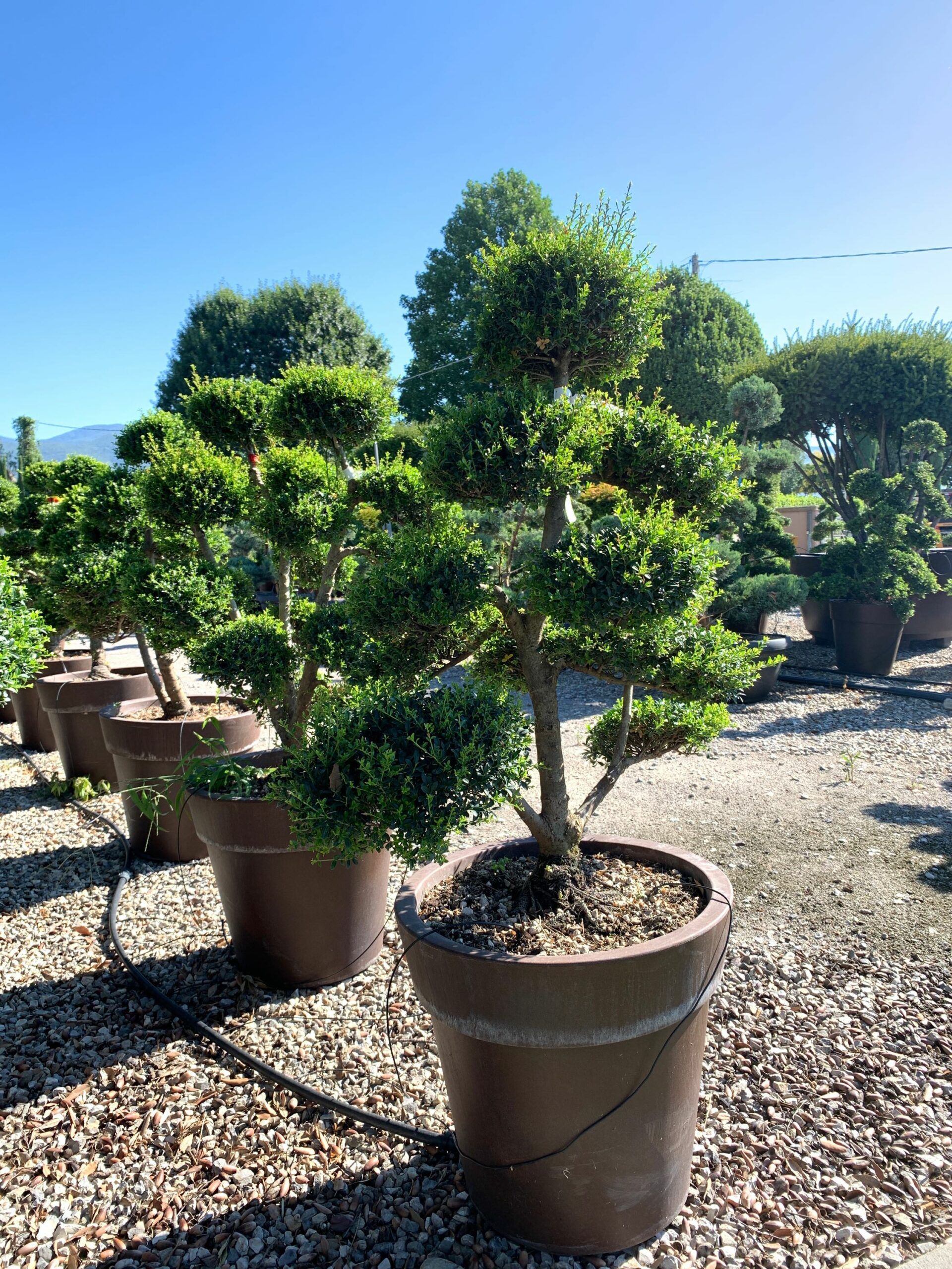 1659598532 scaled 72db1c26