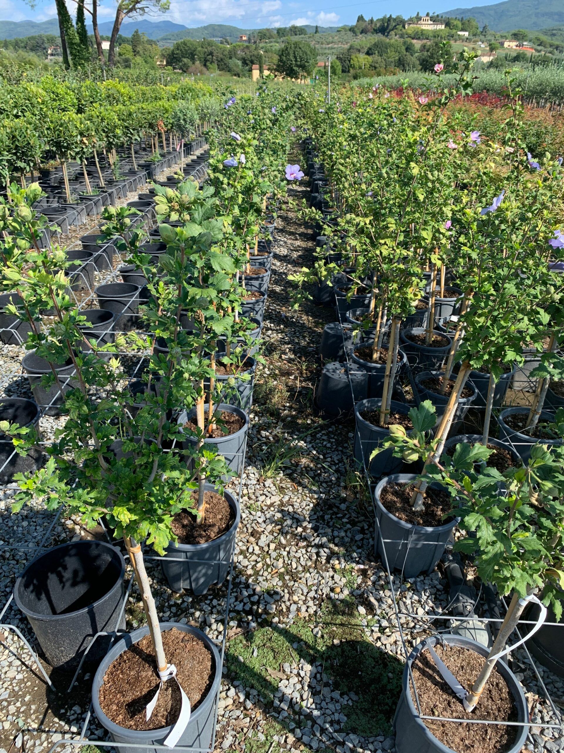 1662108399 scaled 724ea410