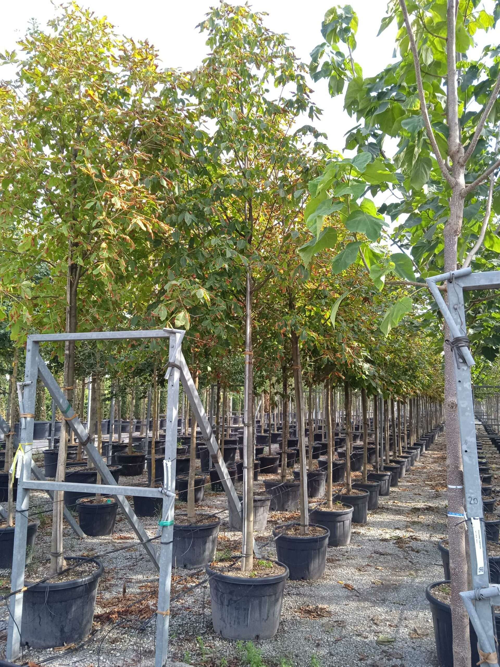 1662129969 scaled 728ab28f