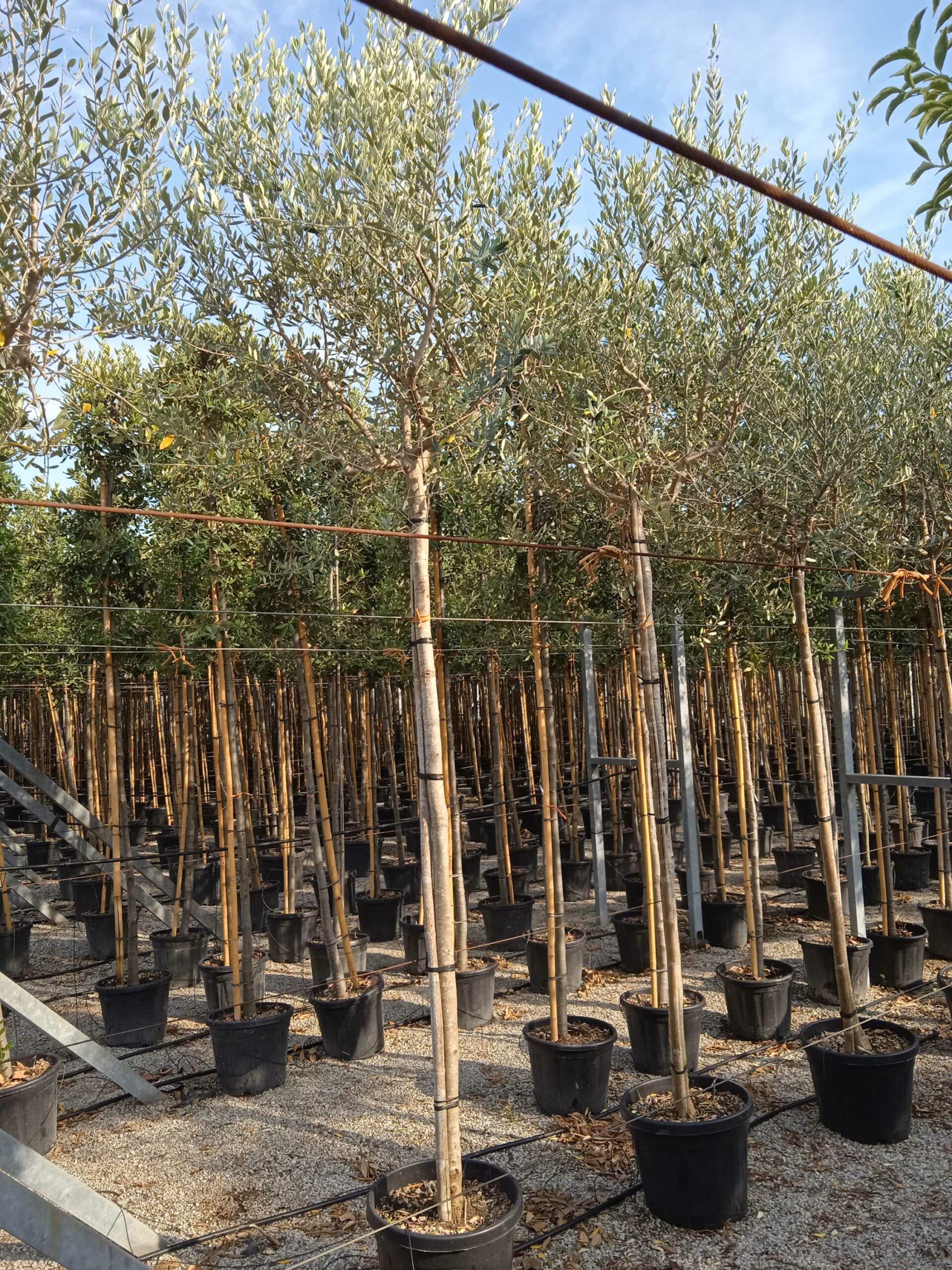 1662131703 scaled 72b6a69d