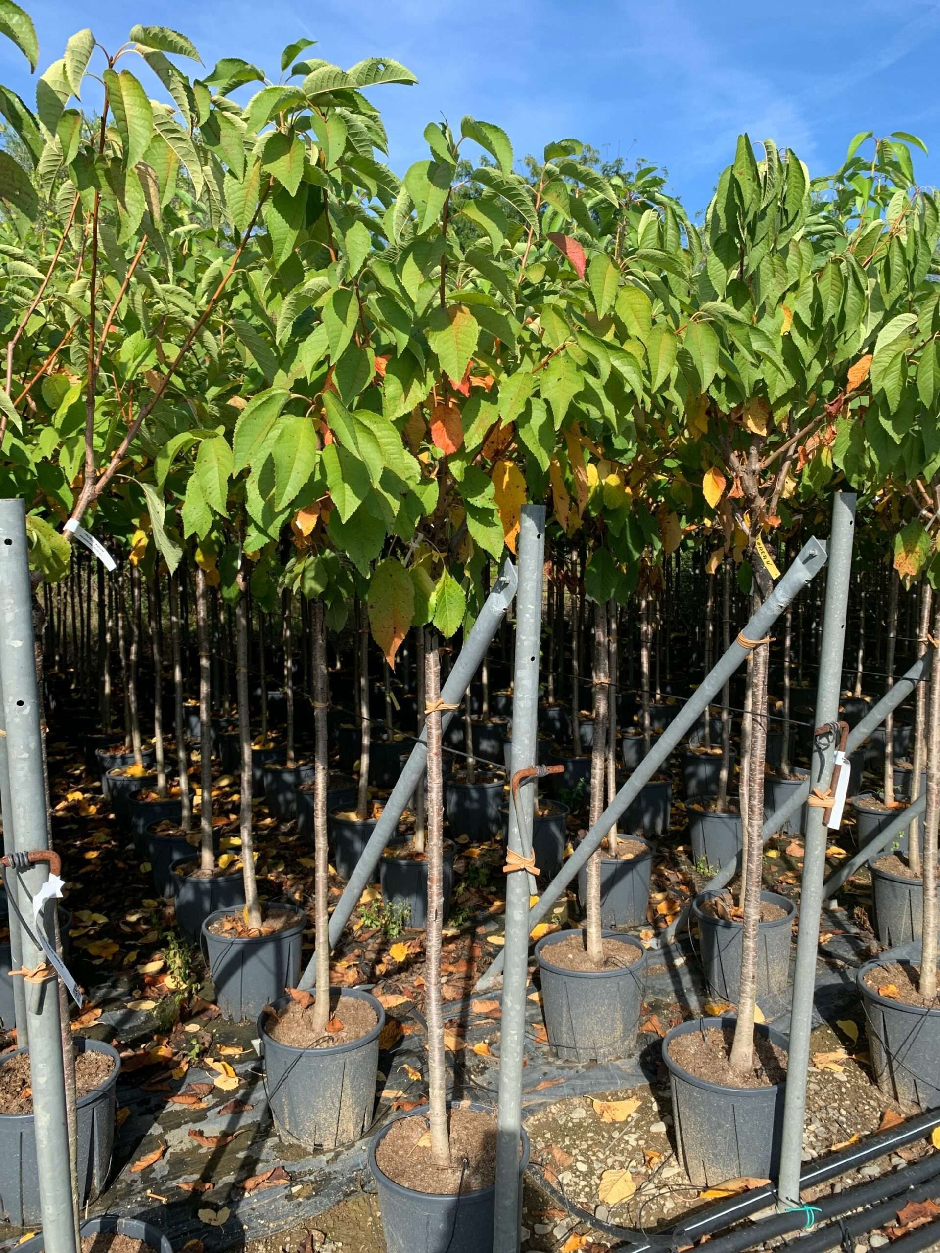 1662364794 scaled 724e9720