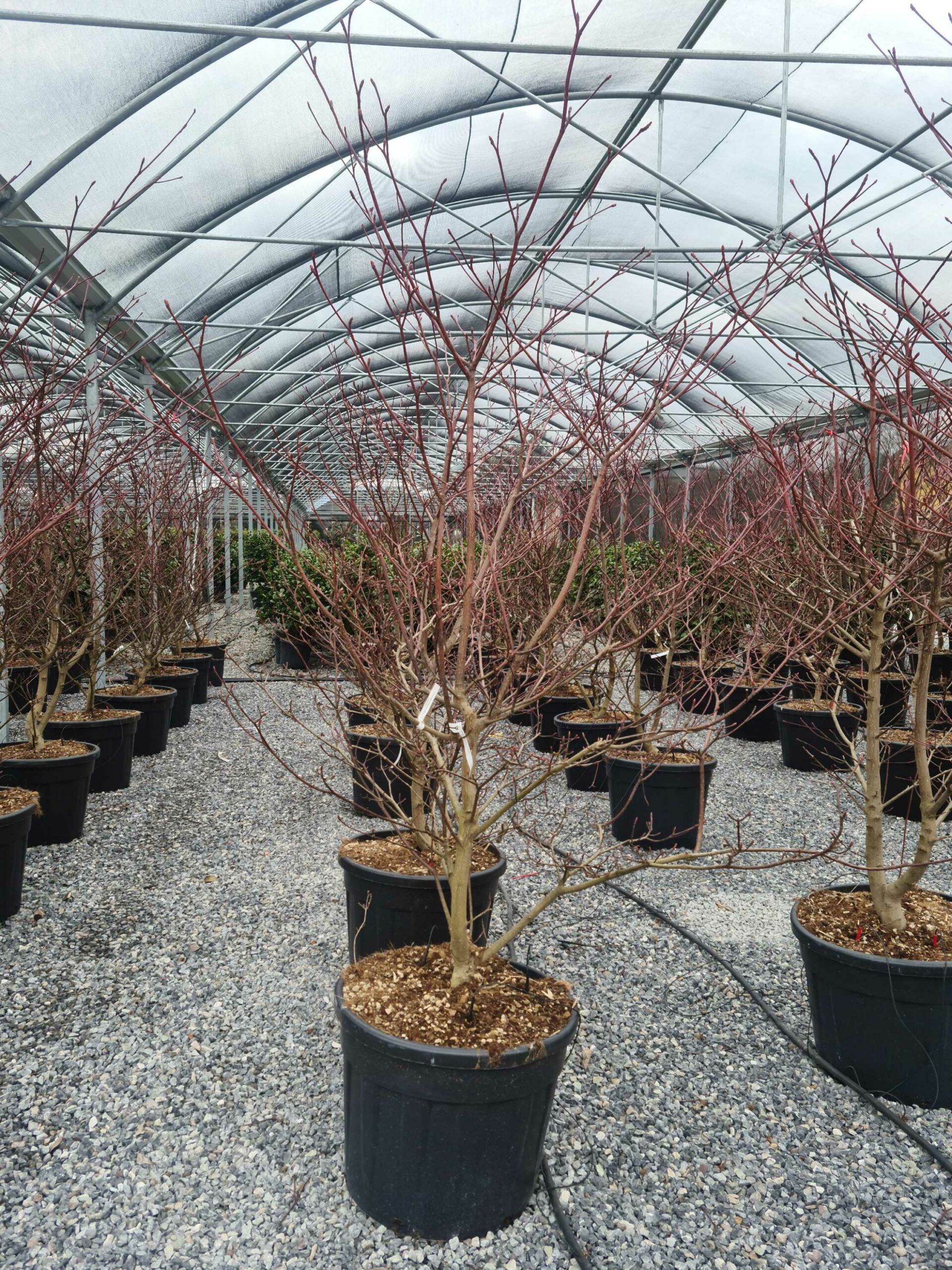 1677075179 scaled 72c01a7b