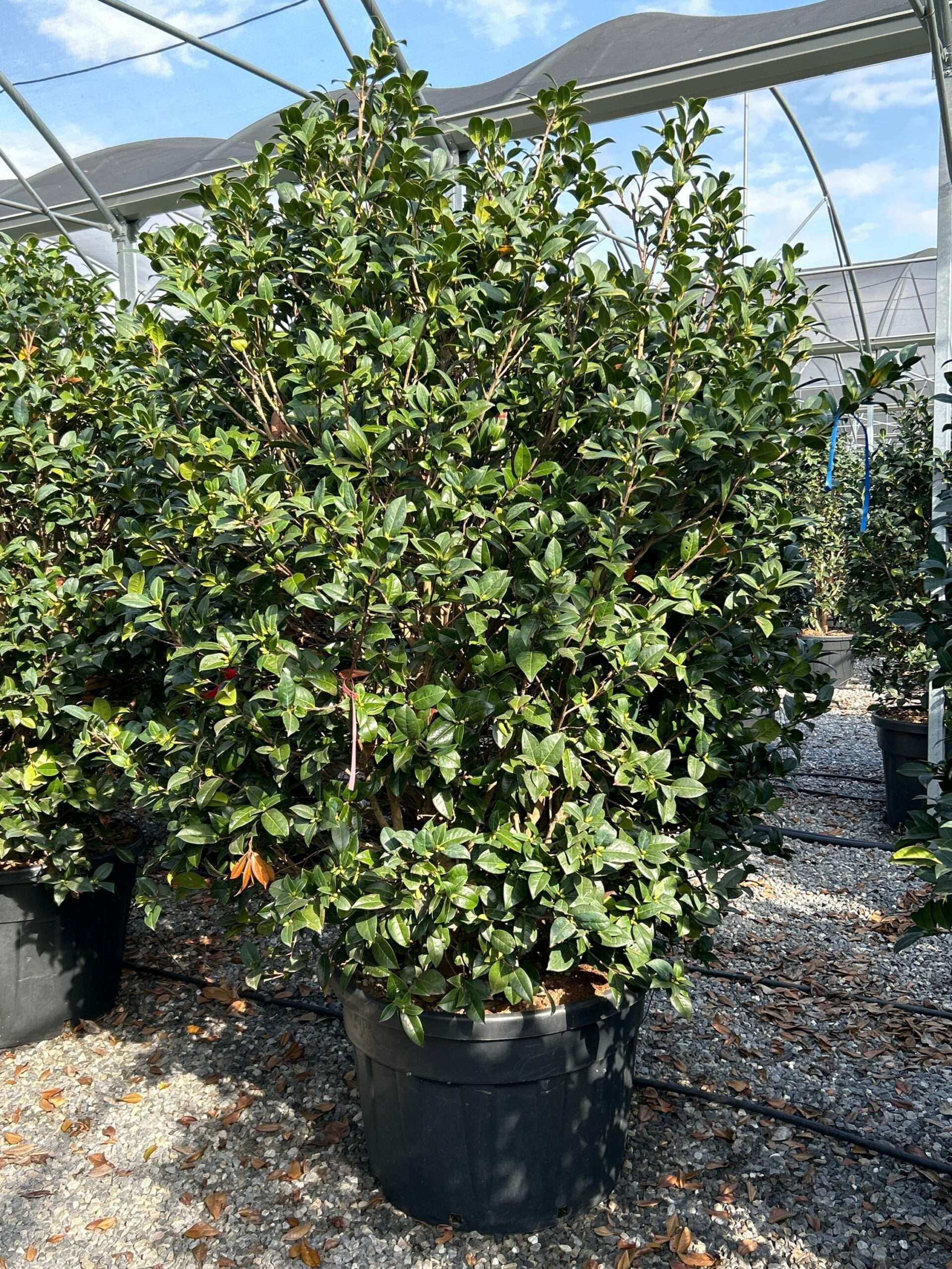 1697287333 scaled 72f2ff95