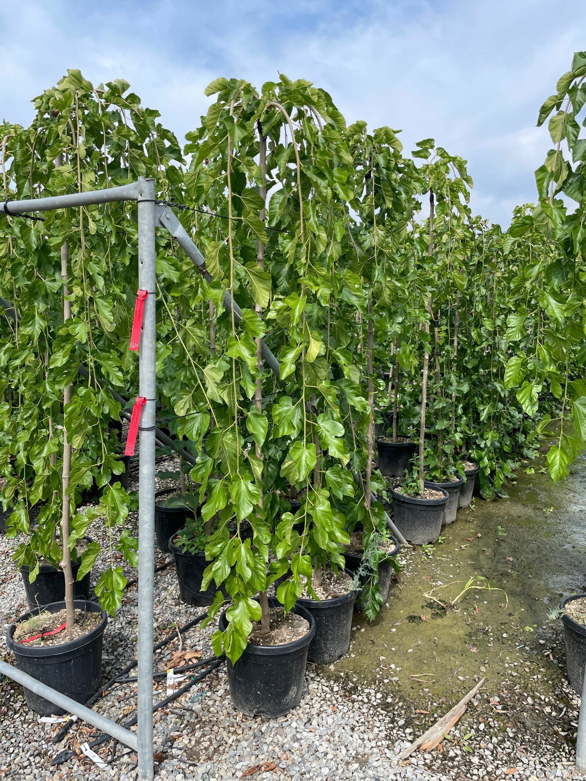 1631010320 scaled 73eb52f2