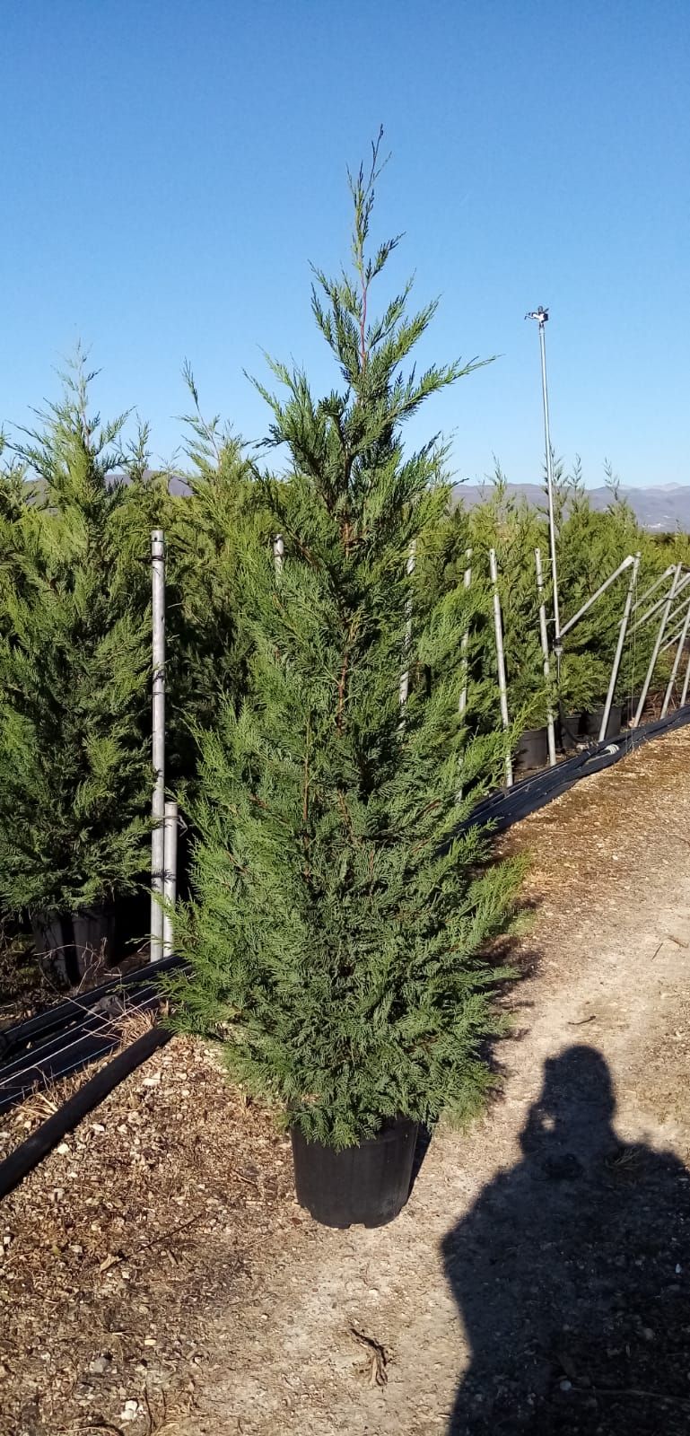 1637049457 1611563440 732d081e