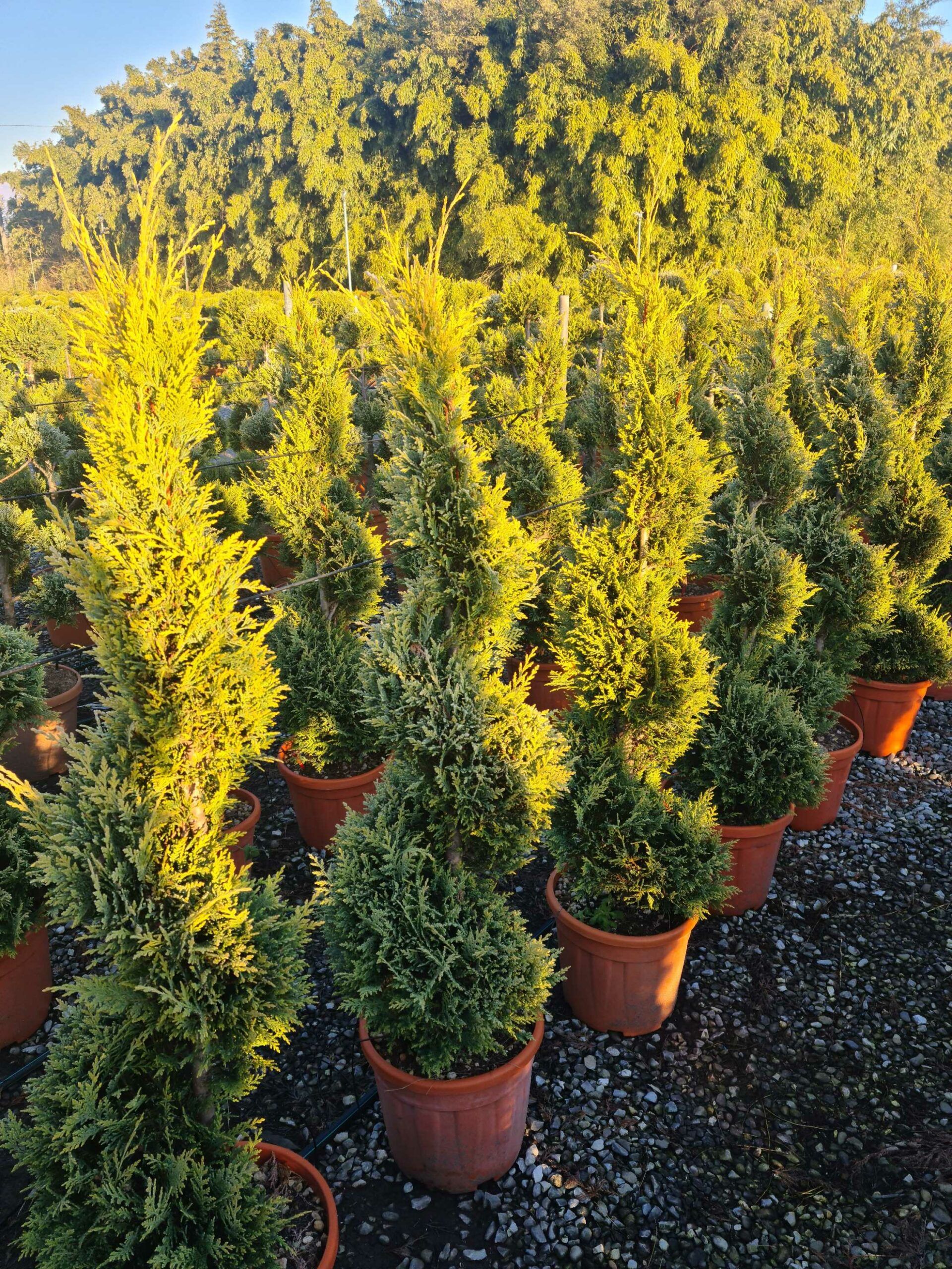 1639813895 scaled 737dfcd3