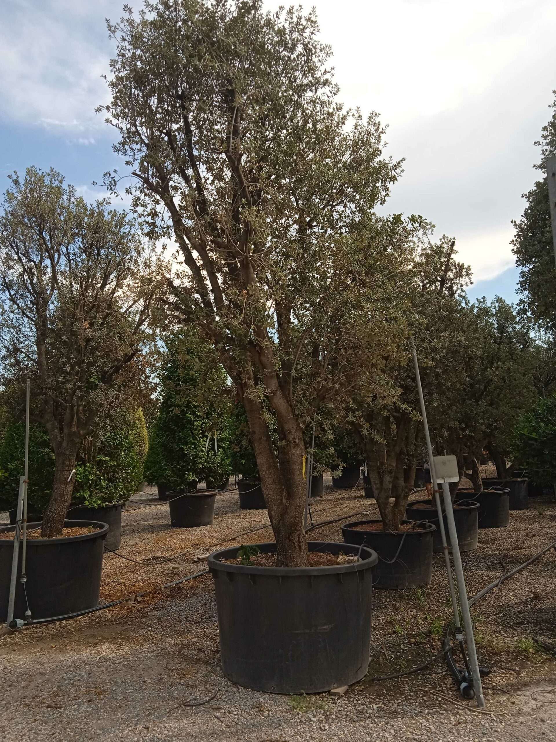 1661781230 scaled 73c31aff