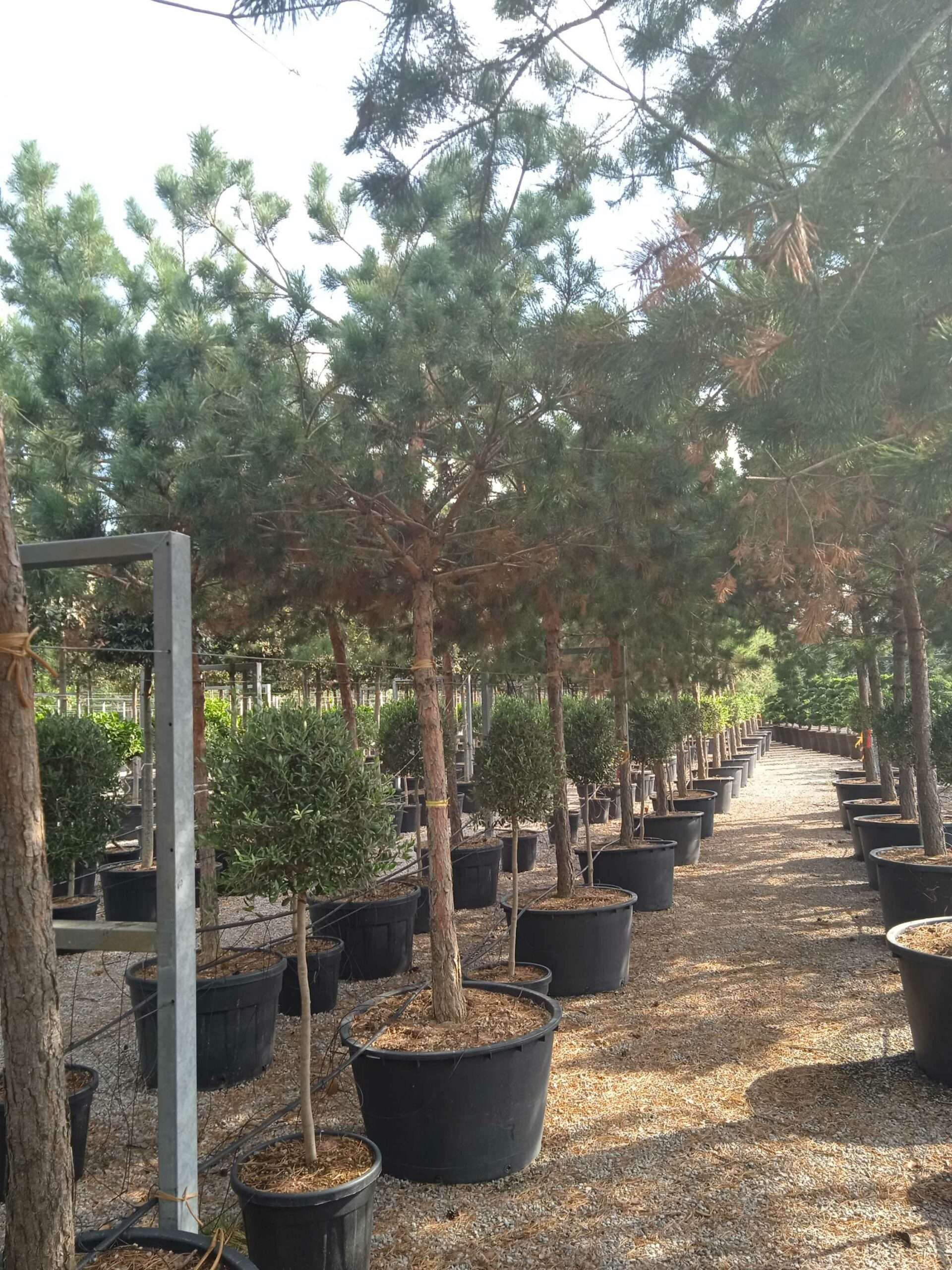 1661870243 scaled 73cf19a5