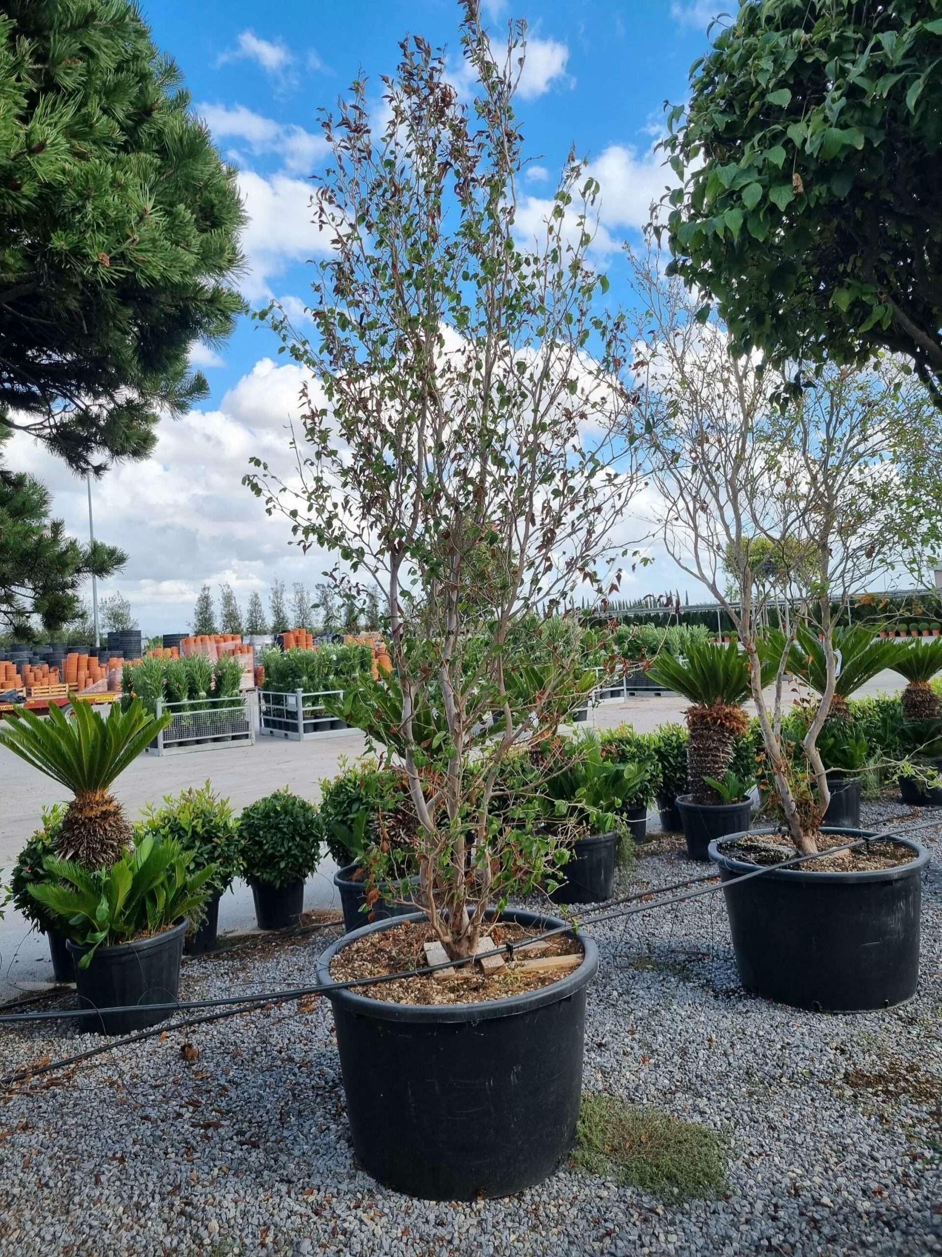 1663337946 scaled 73f3b334