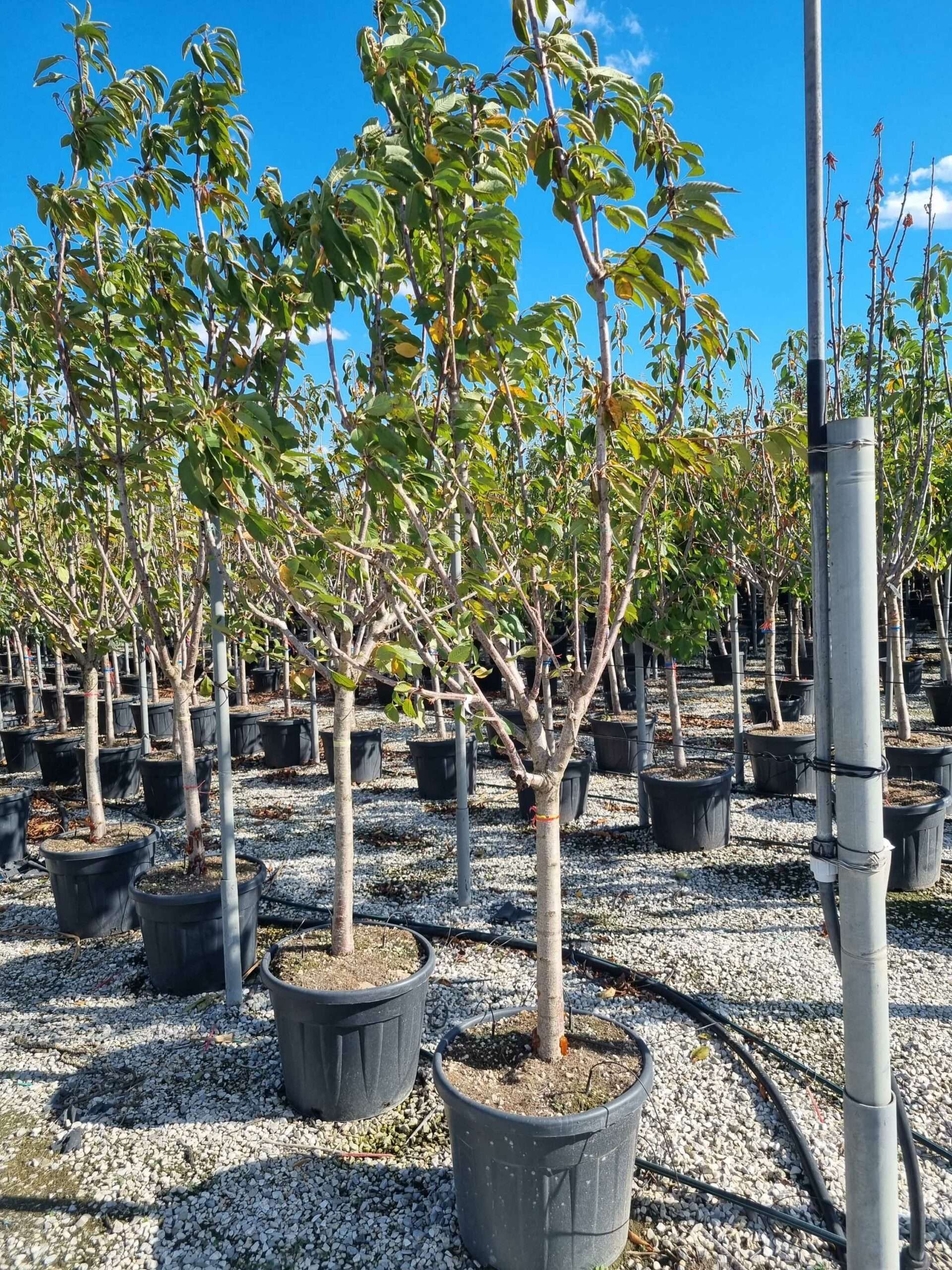 1663683217 scaled 733ad044