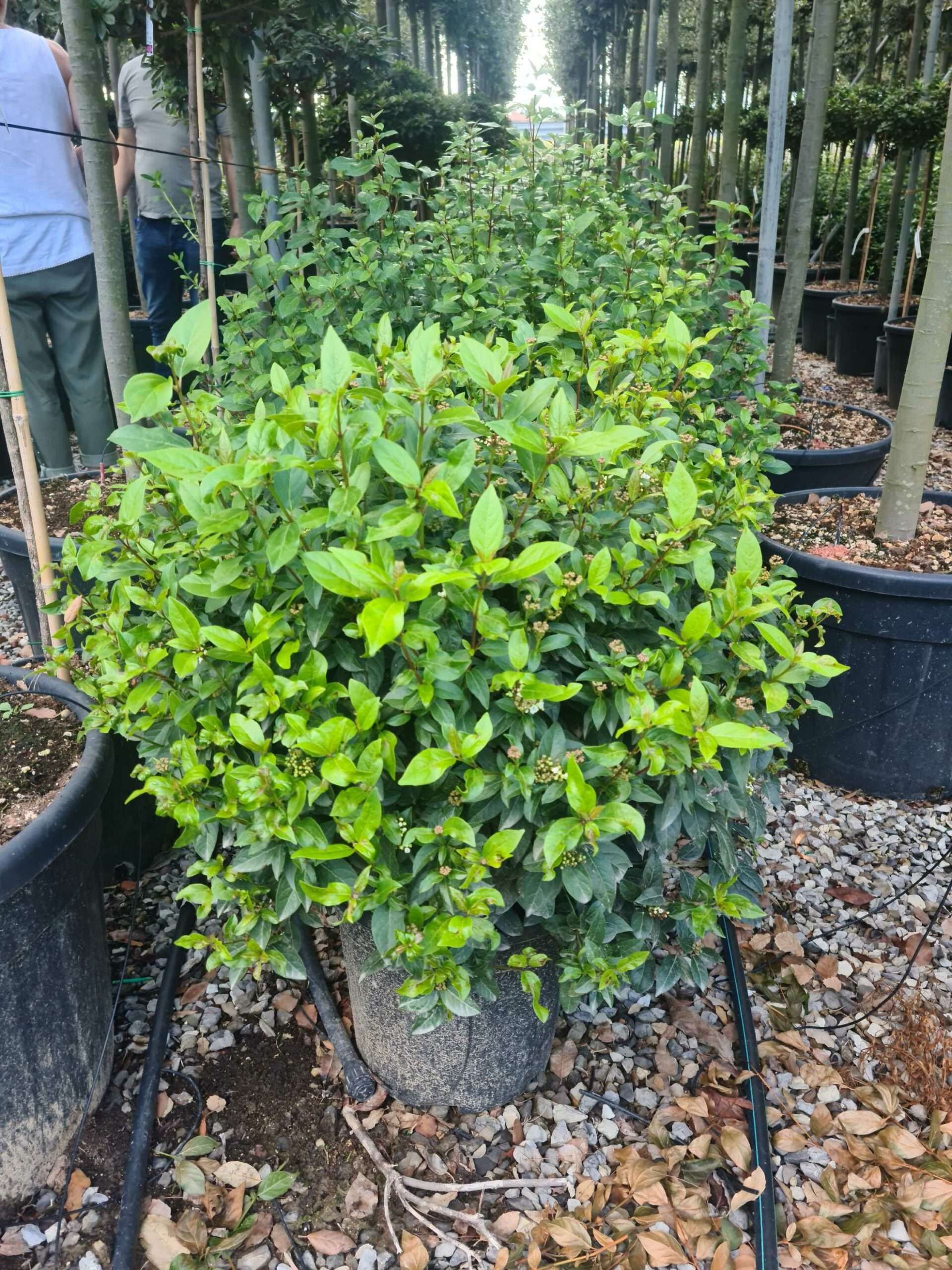 1664202842 scaled 73b27559