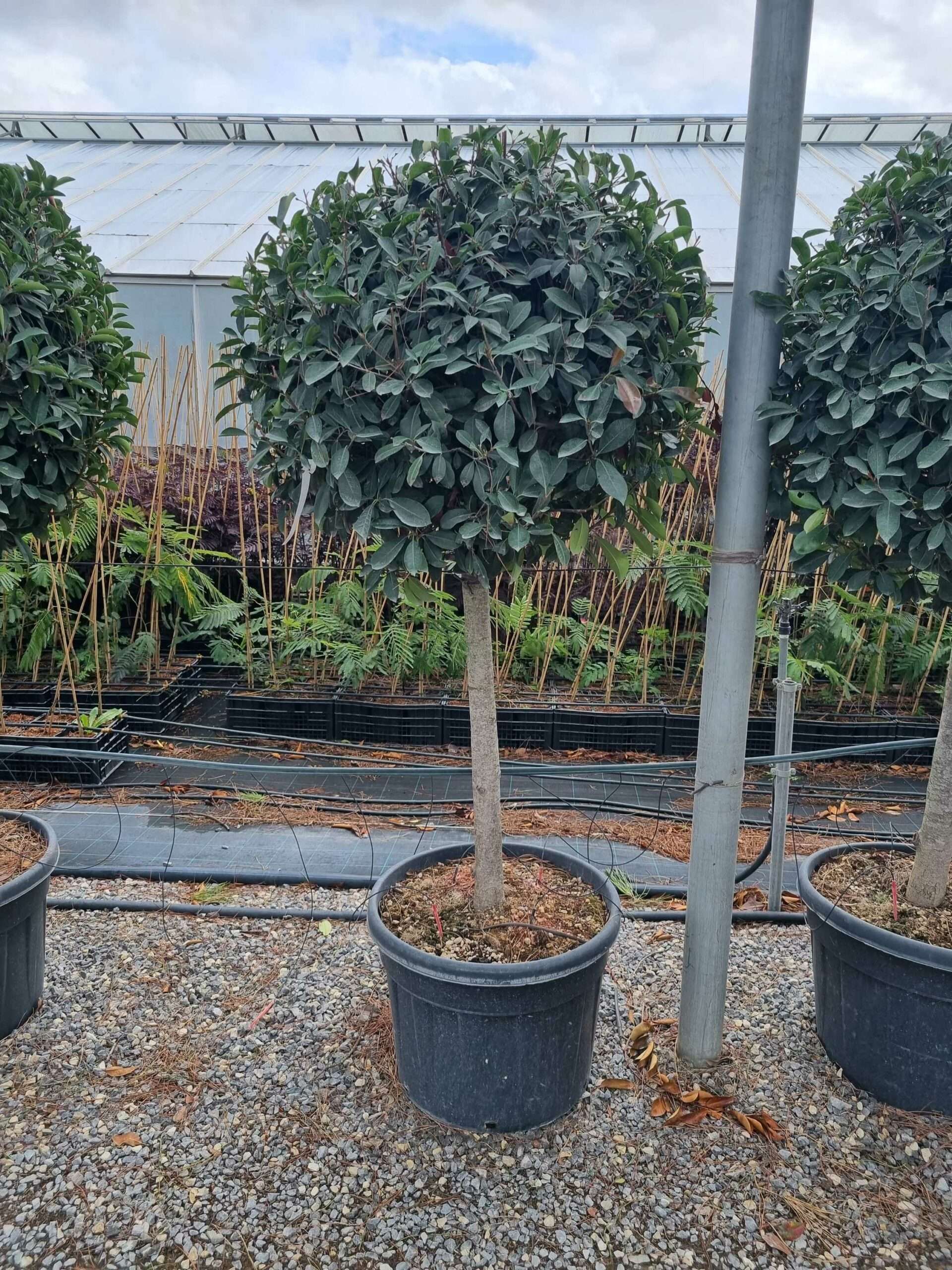 1664445485 scaled 730cad76